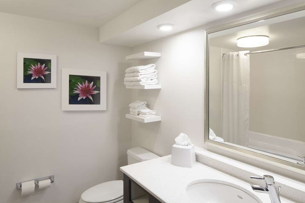 Hampton Inn Charleston/Southridge-guestroom-Guest Room,Bathroom,On-Site.jpg