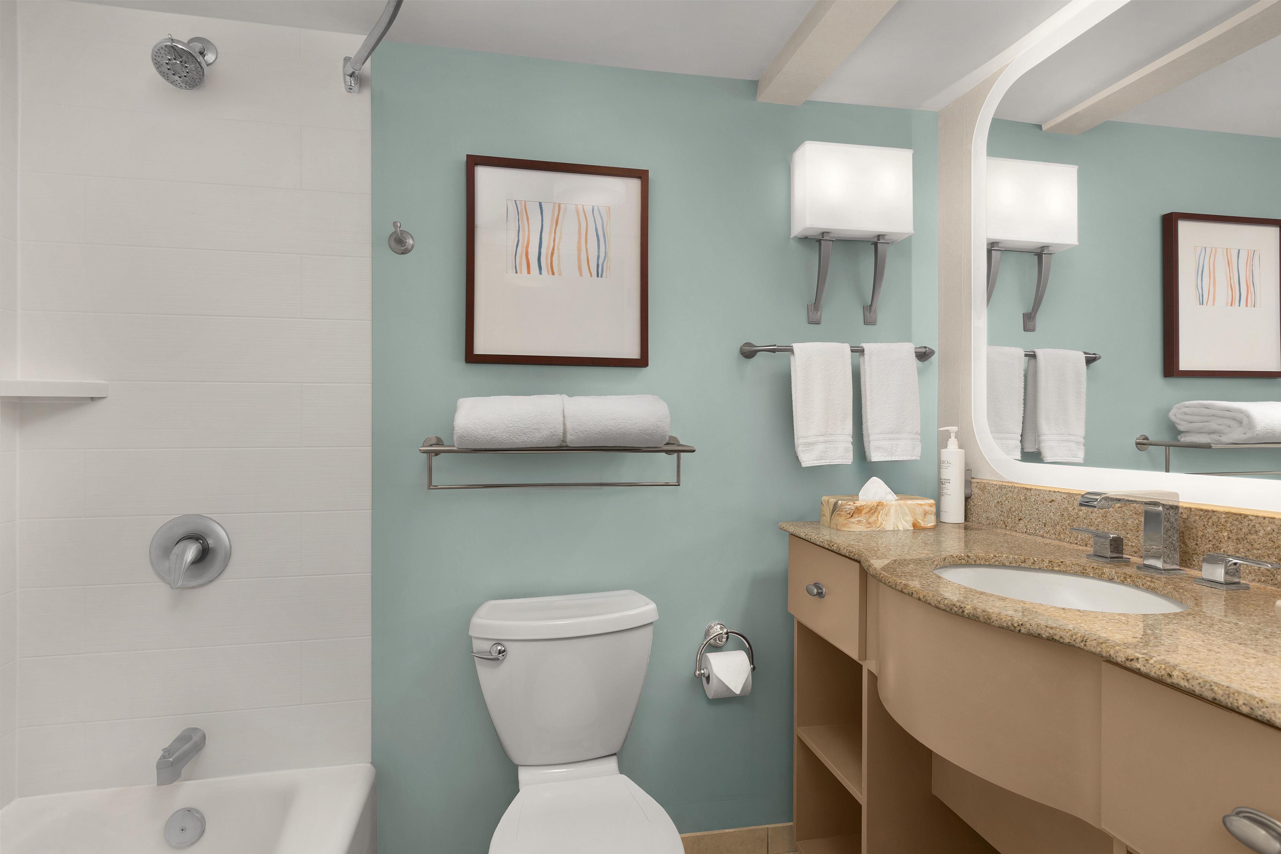 Guest room bath