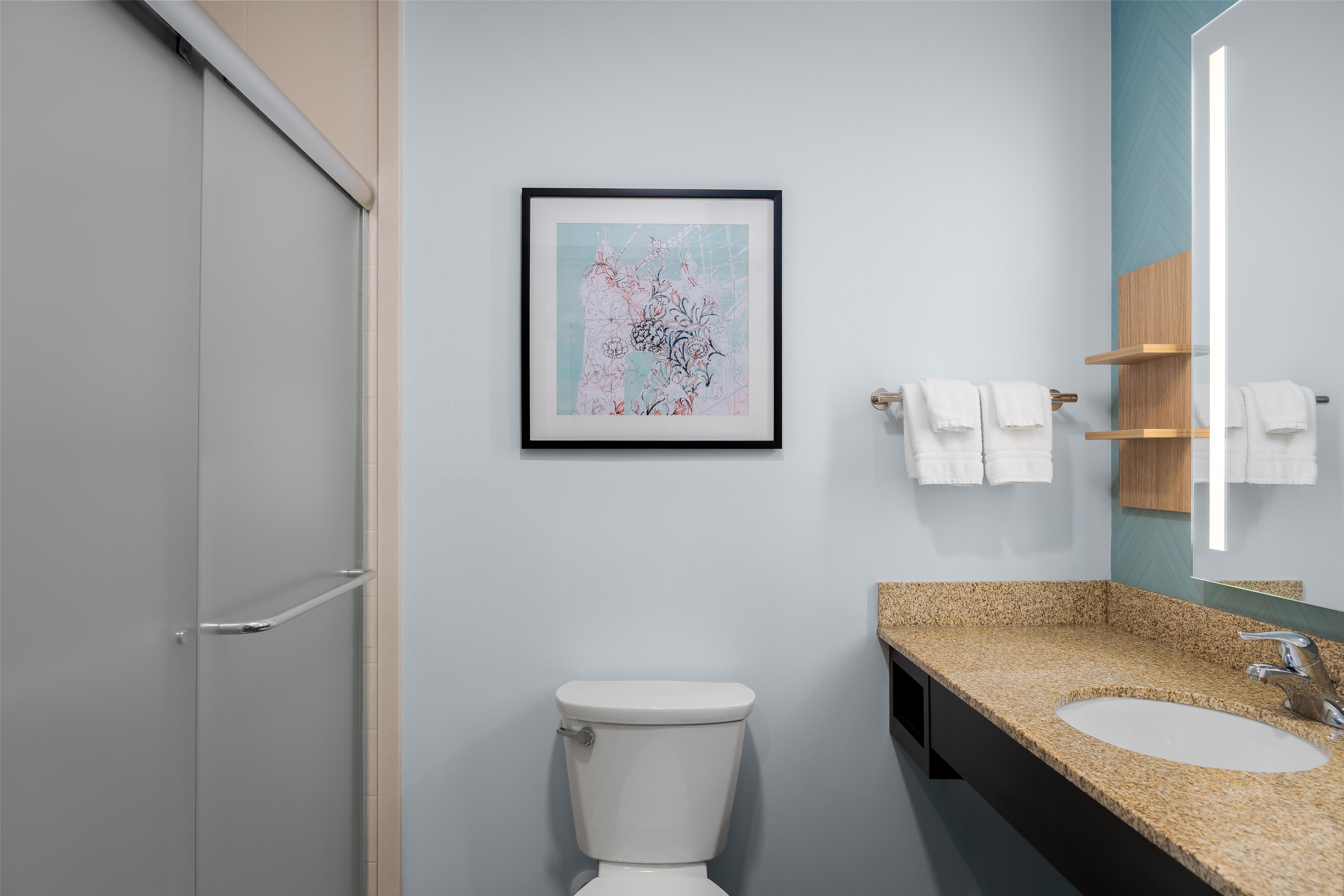 Guest room bath