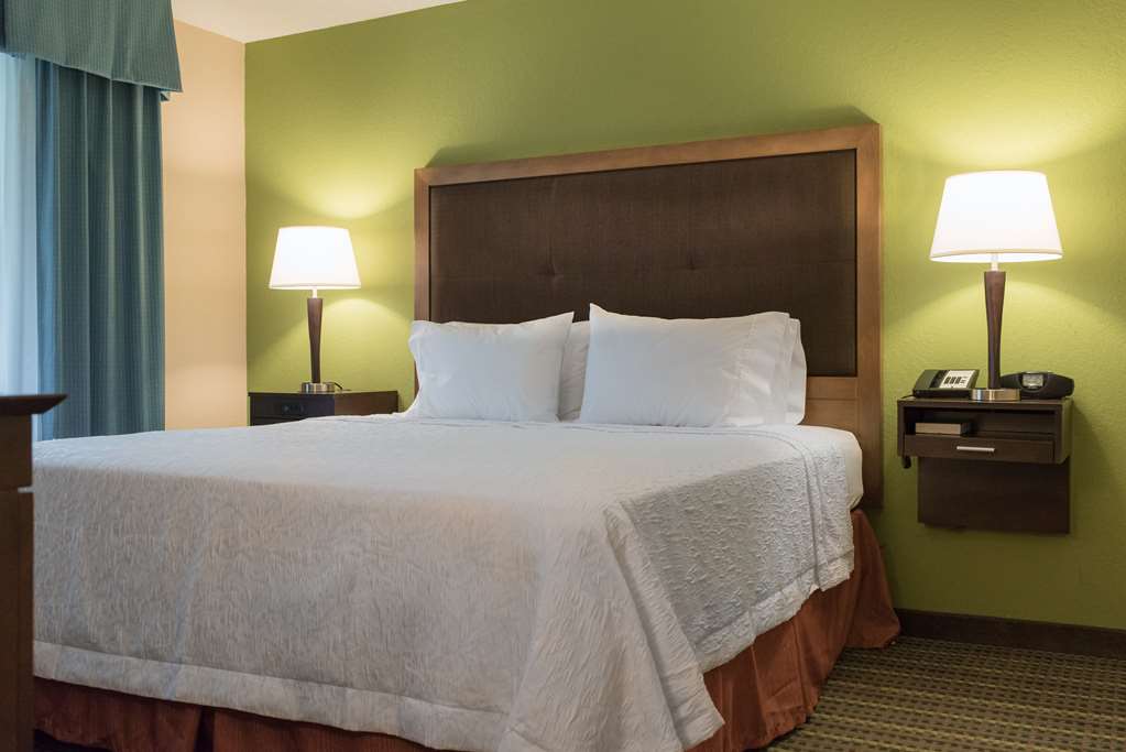 Hampton Inn Brooksville Dade Room Type - 1KNG STE MIC FRIDG WTBR NS