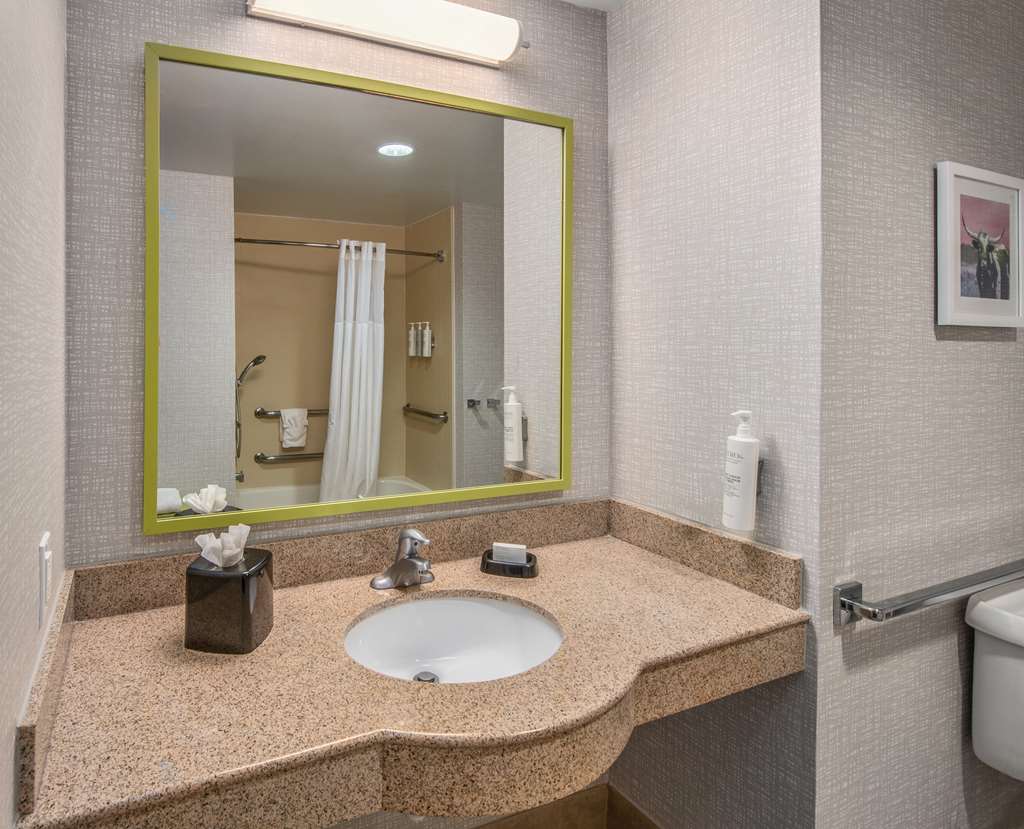 Hampton Inn & Suites-Dallas Allen Room Type - 1KN MOB HEA ACC TUB STU NS