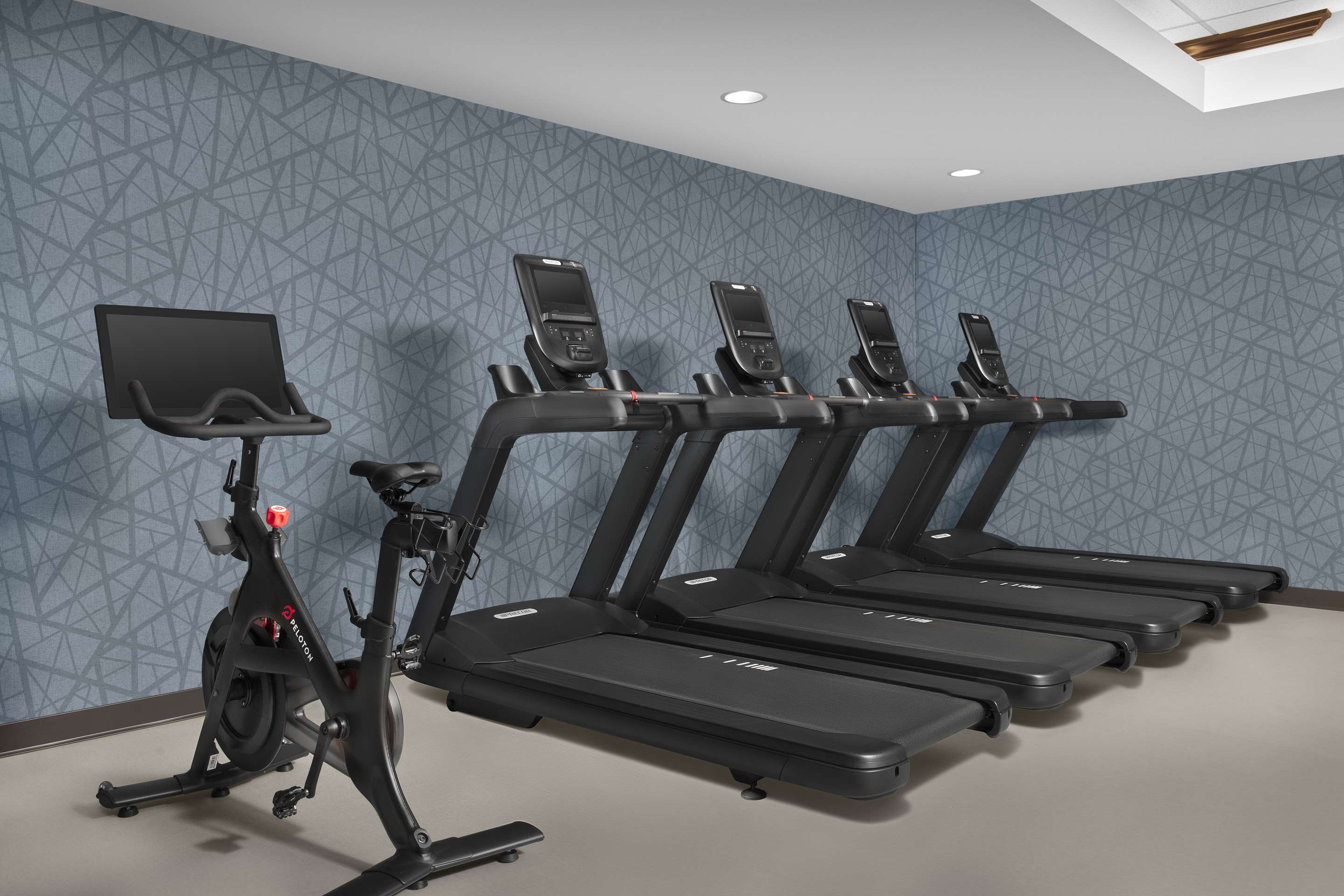 Health club fitness center gym