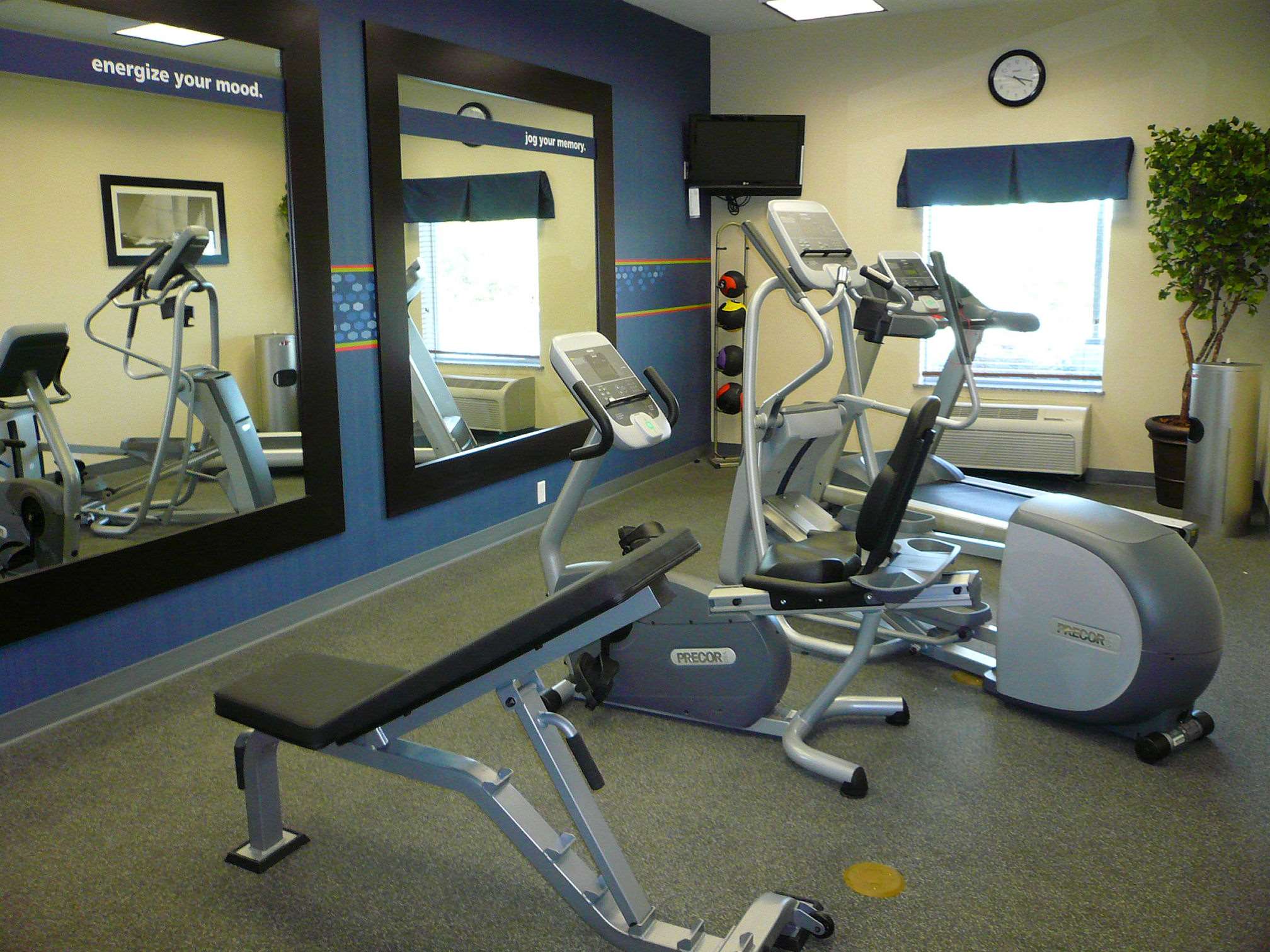 Health club fitness center gym