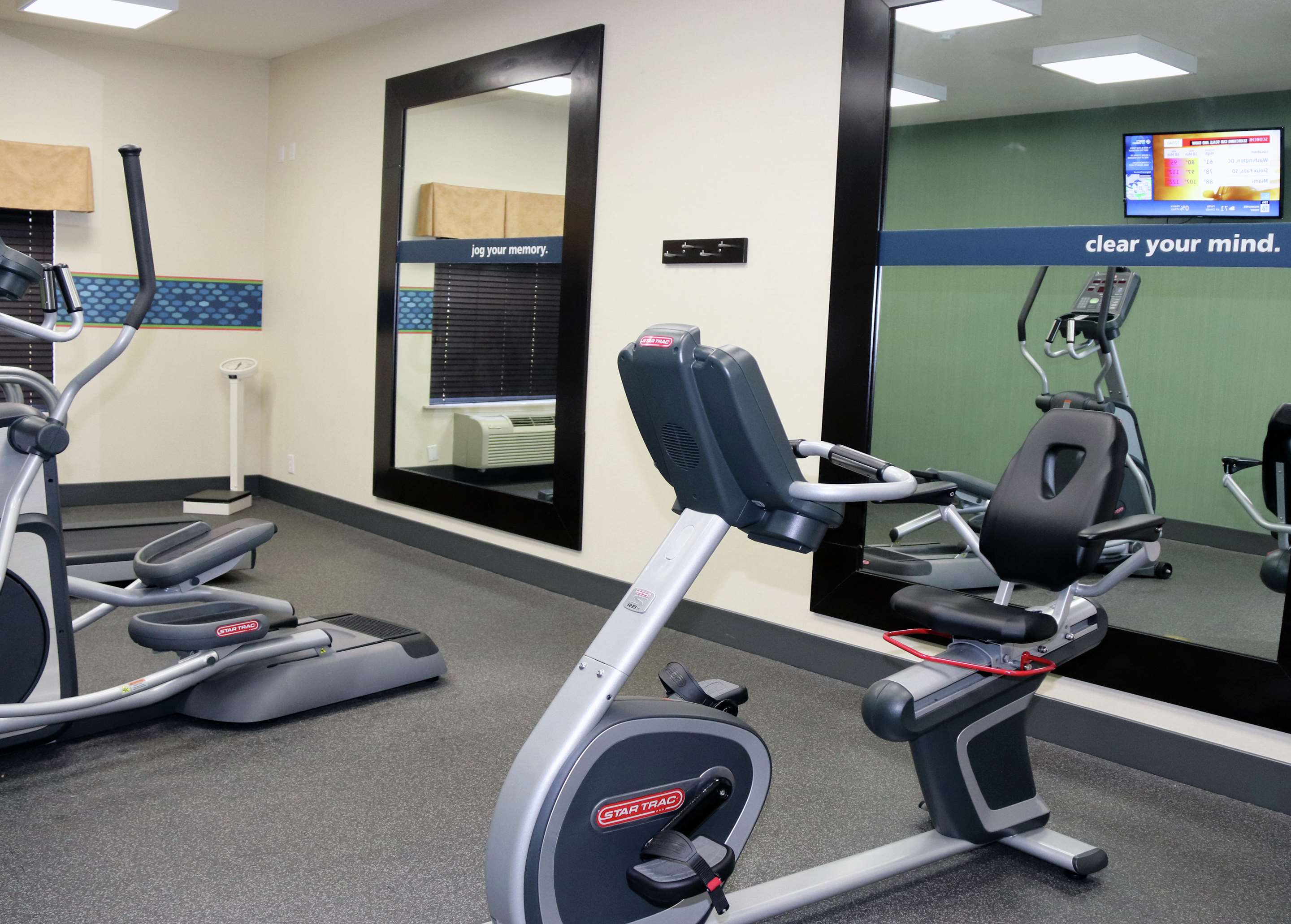 Health club fitness center gym