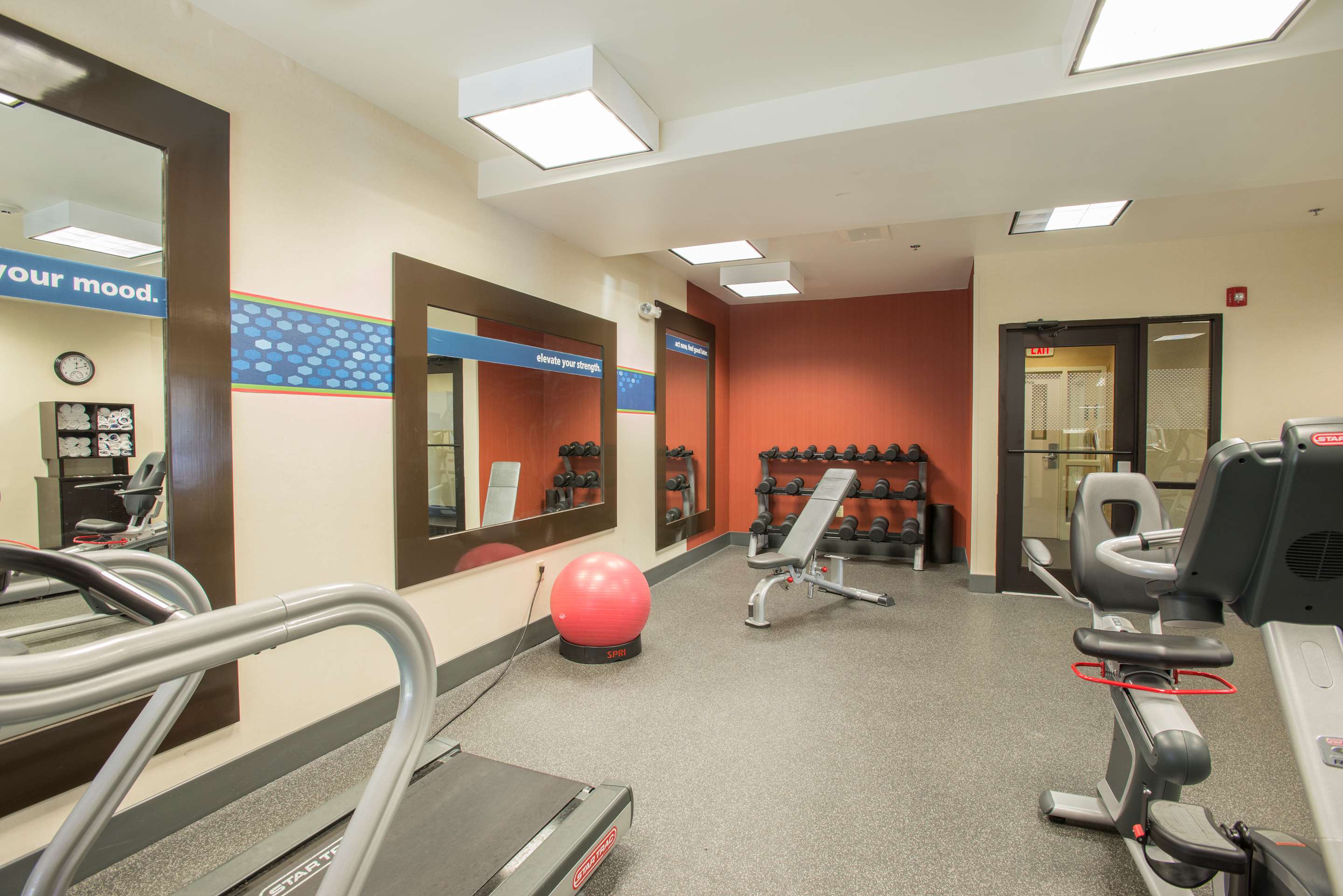 Health club fitness center gym