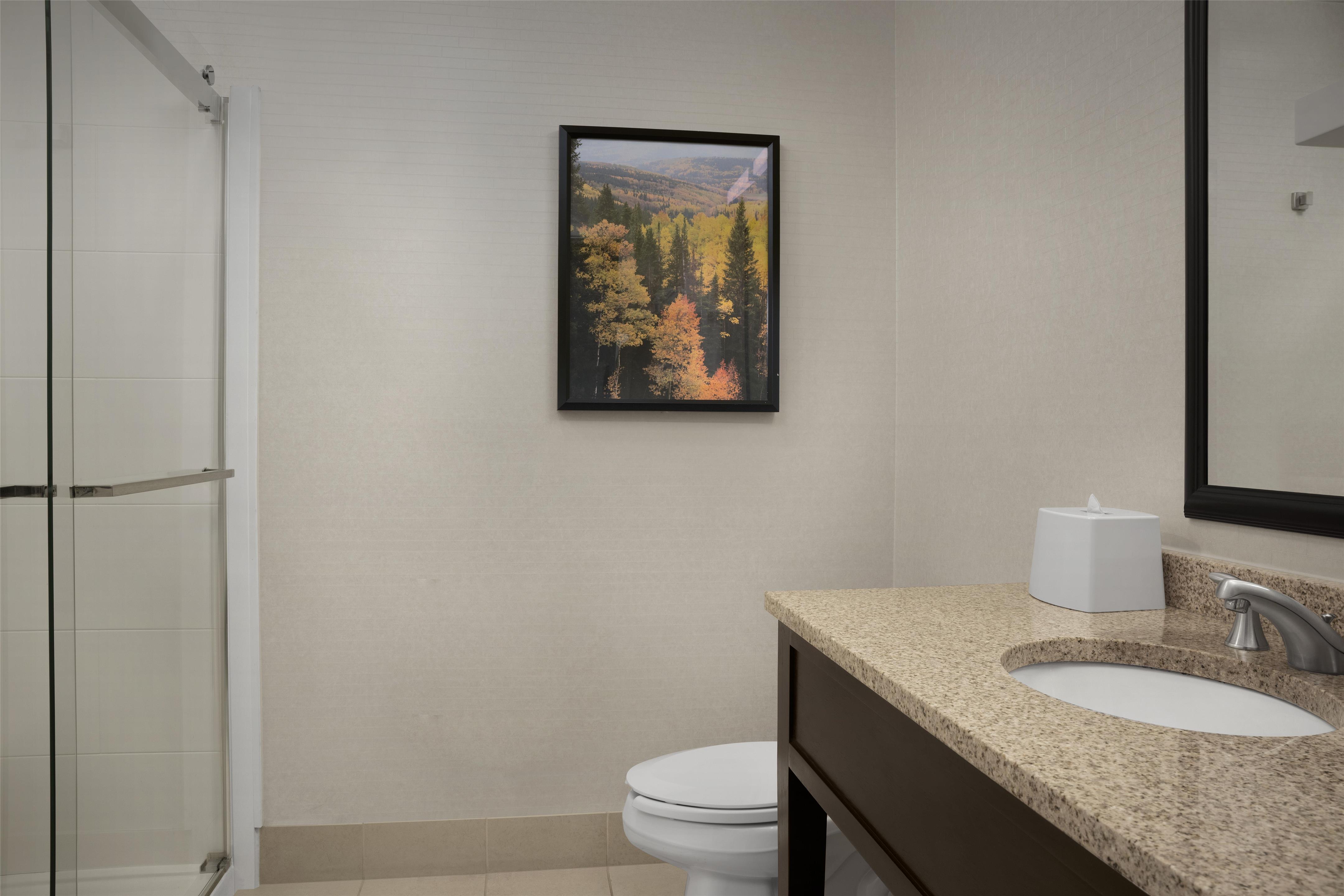 Guest room bath