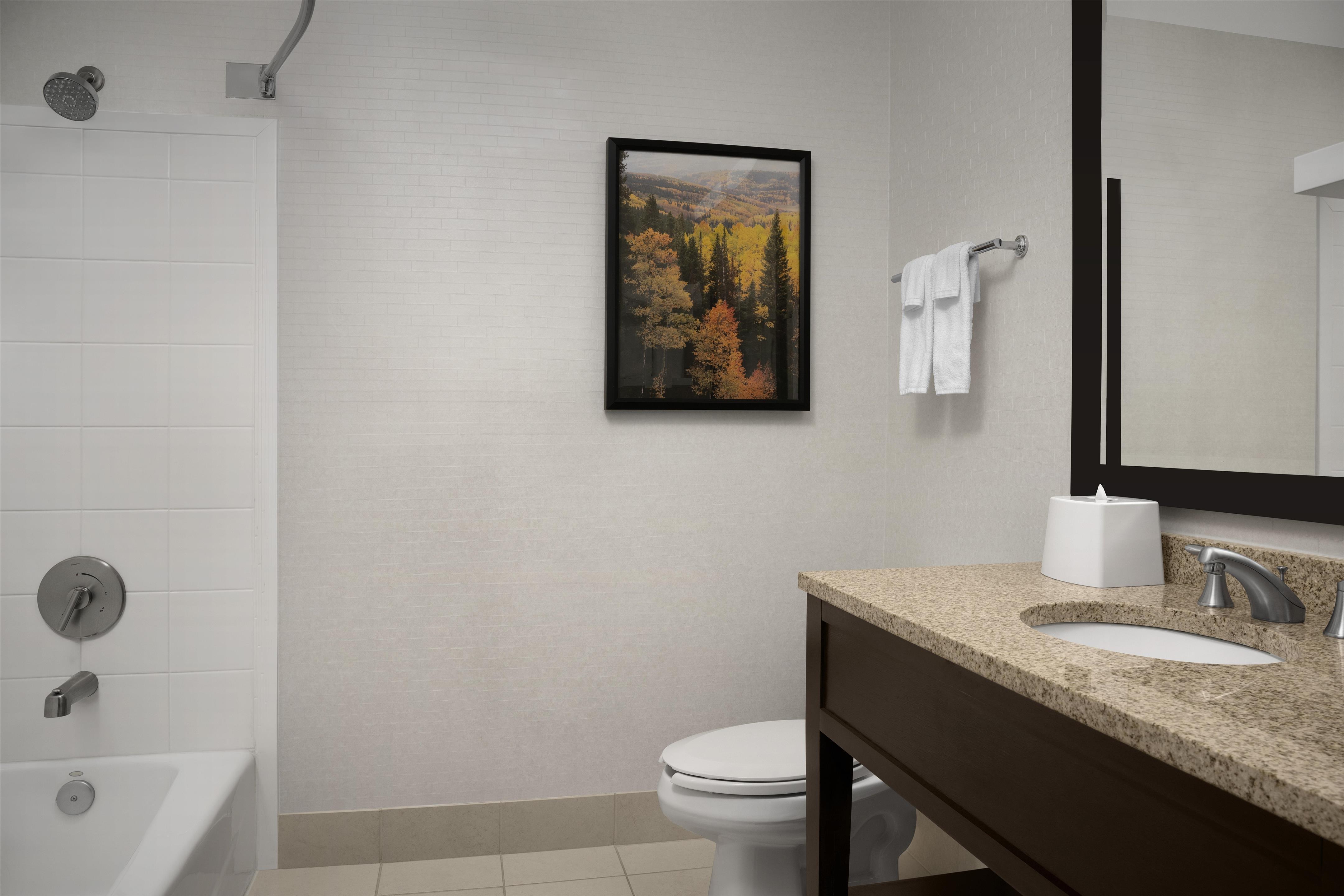 Guest room bath