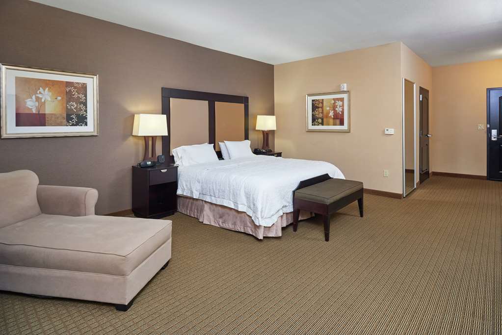Hampton Inn & Suites Decatur Room Type - 1 KNG ACC ROLLIN SHWR NS