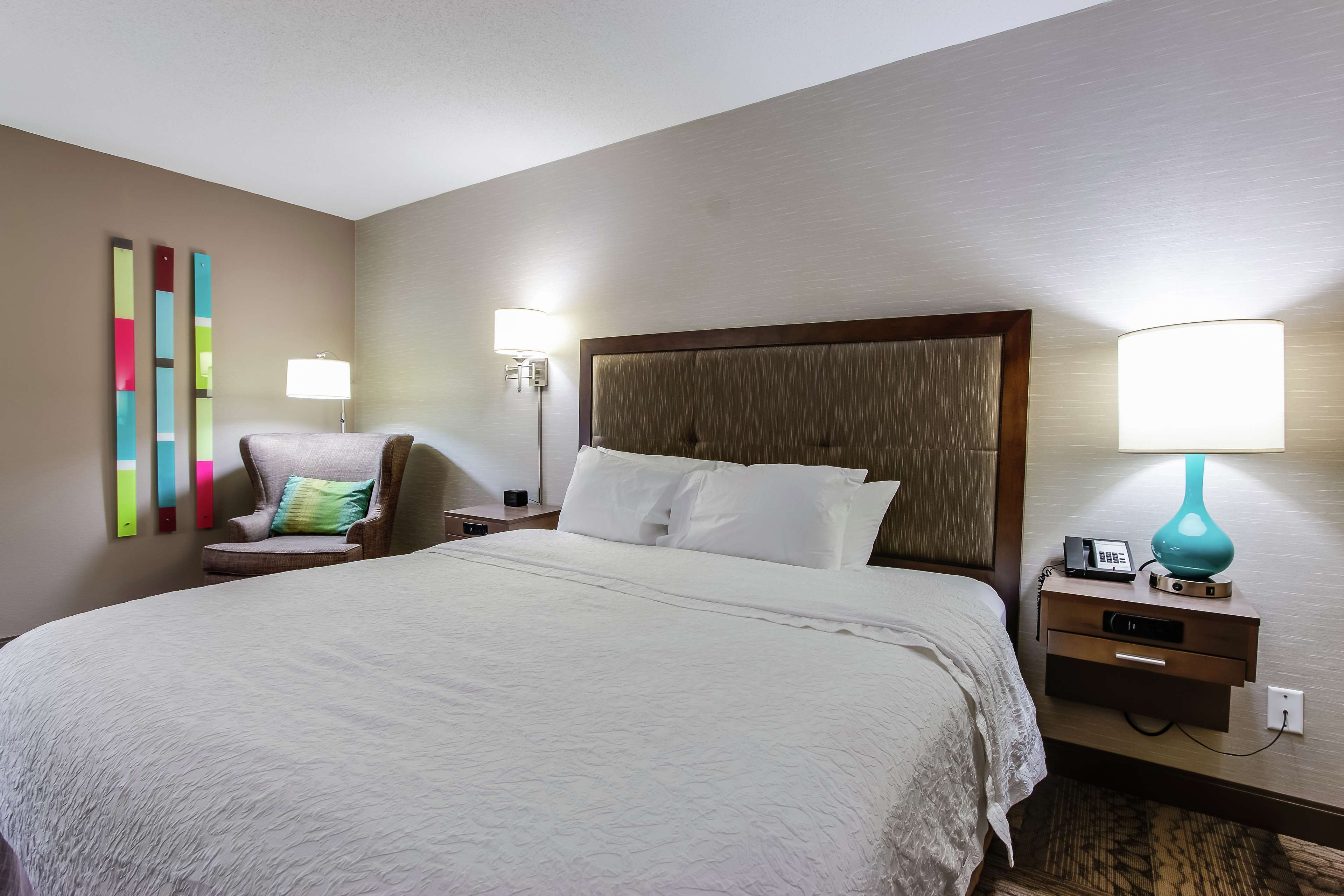 Hampton Inn by Hilton Dickson Room Type - 1KNG MOB HEAR ACC W TUB NS