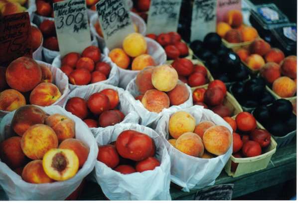 Amenities - Hampton Inn Danville