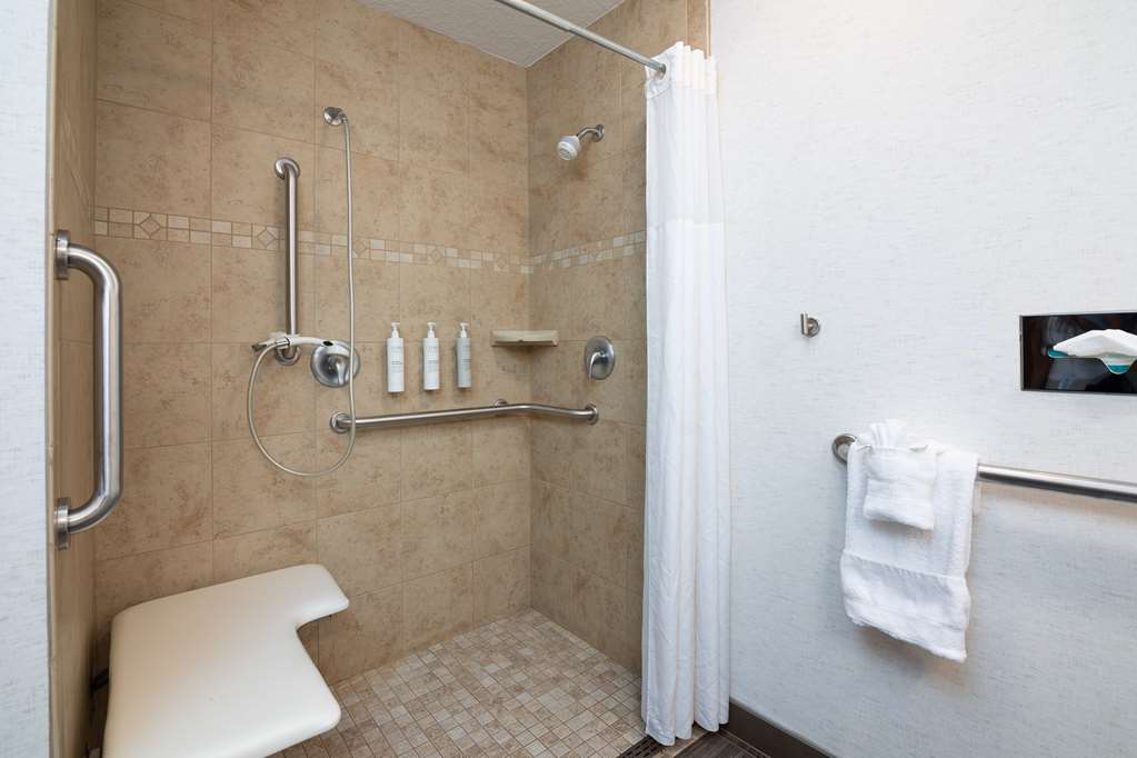 Hampton Inn by Hilton Durango Room Type - 1 KNG ACC ROLLIN SHWR NS