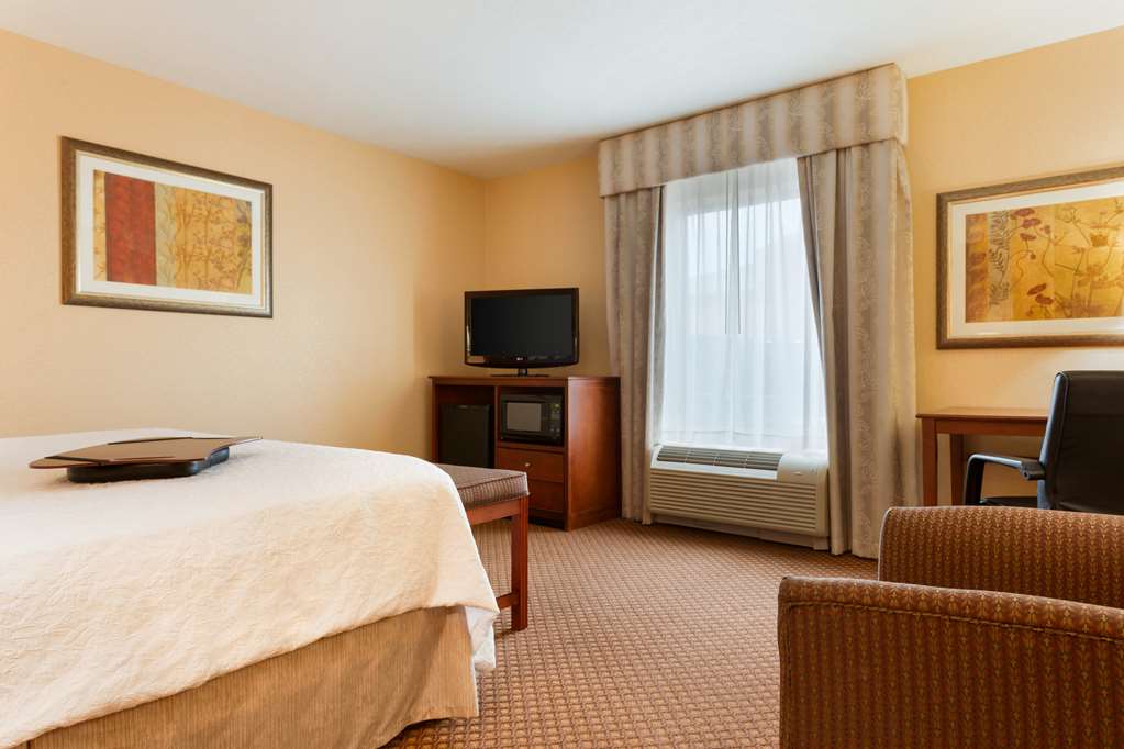 Hampton Inn & Suites Detroit/Chesterfield Township Room Type - 1KG MOB HR ACC RI-S STE NS