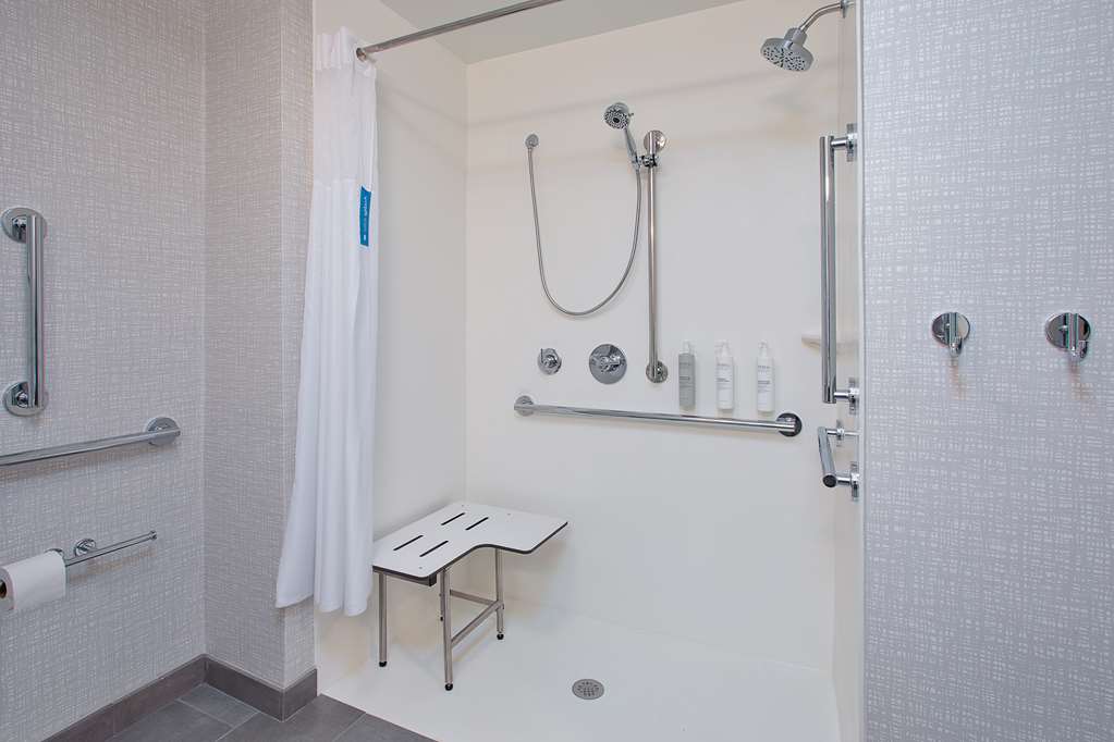 Hampton Inn Detroit - Shelby Township Room Type - 1KG MOB HEAR ACC RI-SHW NS