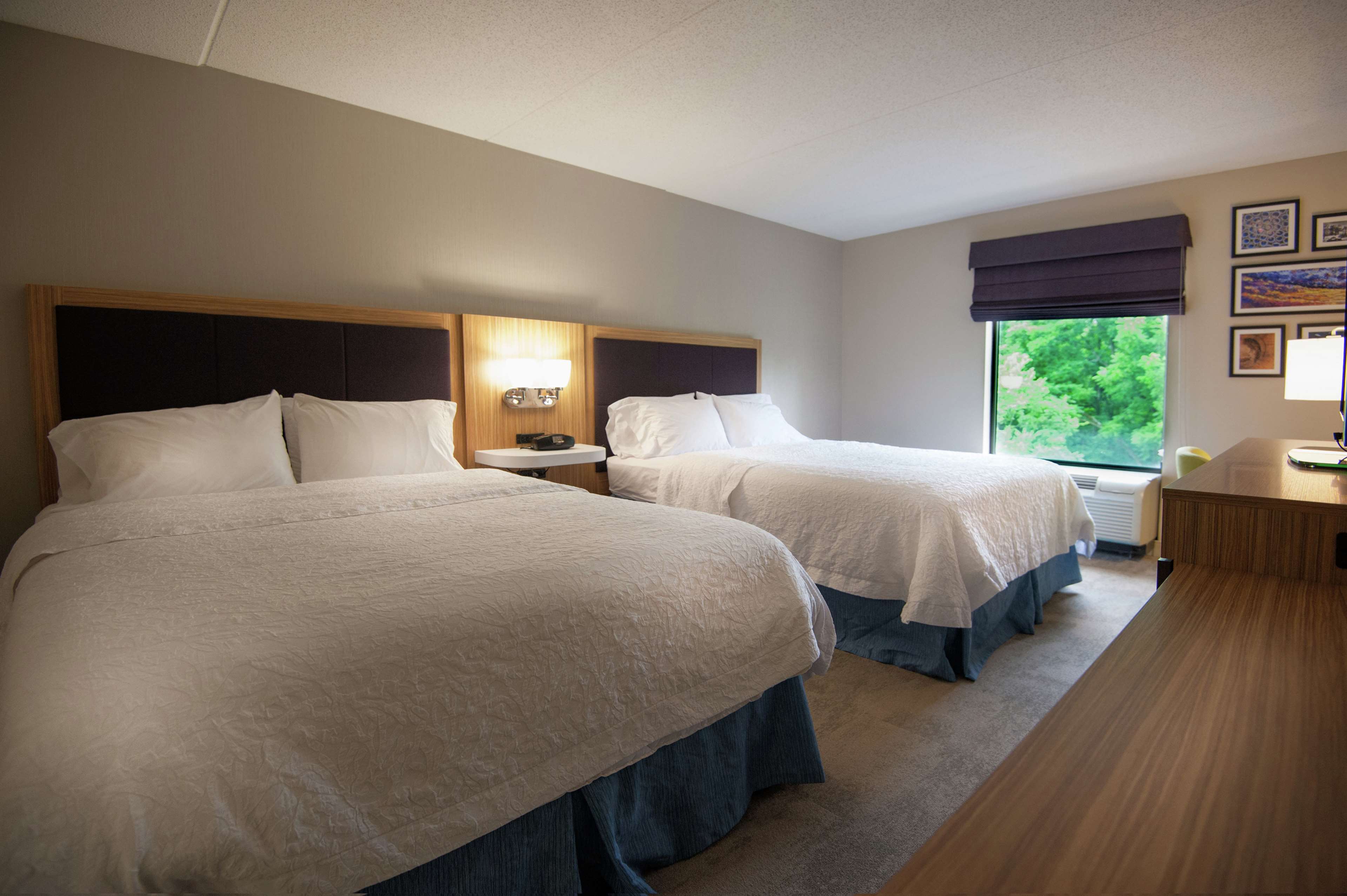Hampton Inn by Hilton Doylestown Room Type - 2 QUEEN BEDS