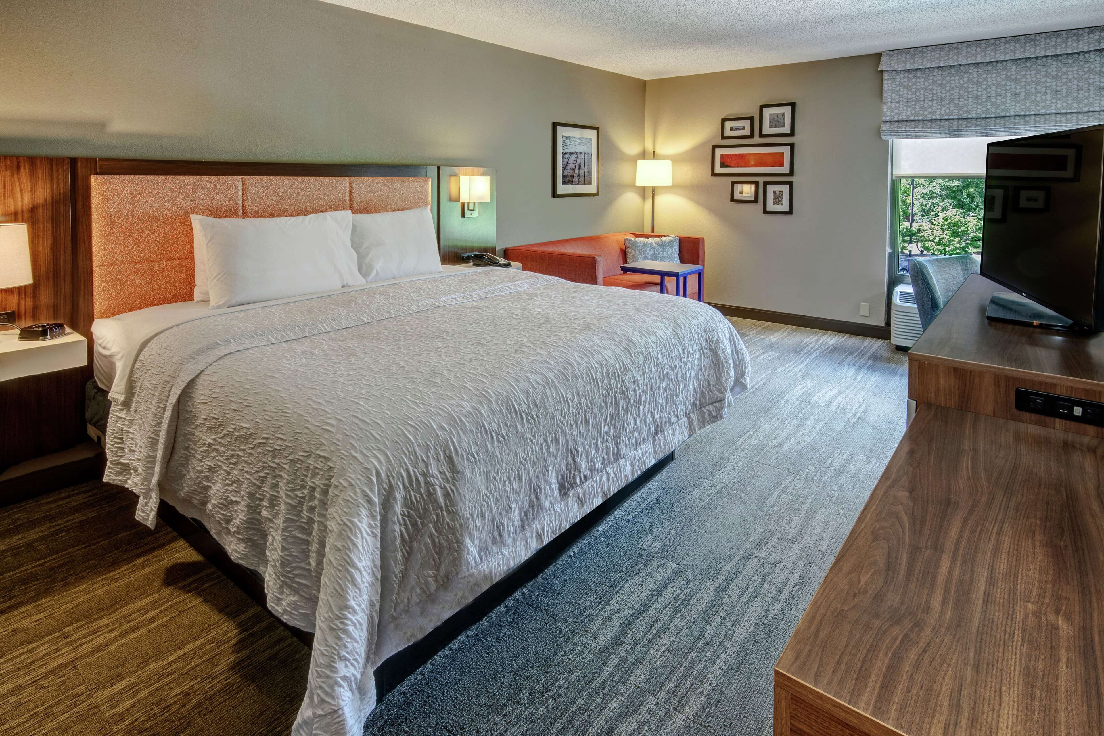Hampton Inn by Hilton Elizabeth City Room Type - 1 KING ACCESSIBLE TUB NS