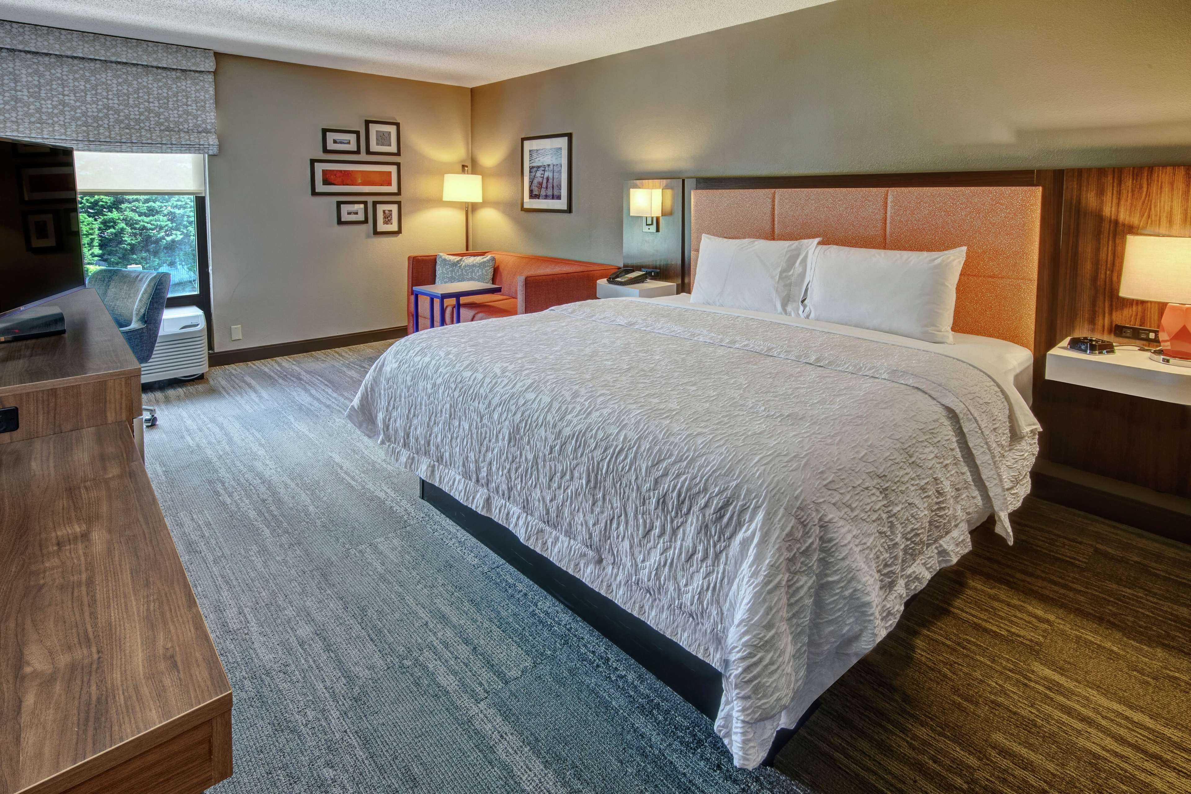 Hampton Inn by Hilton Elizabeth City Room Type - 1KING BED DELUXE RM NOSMOK