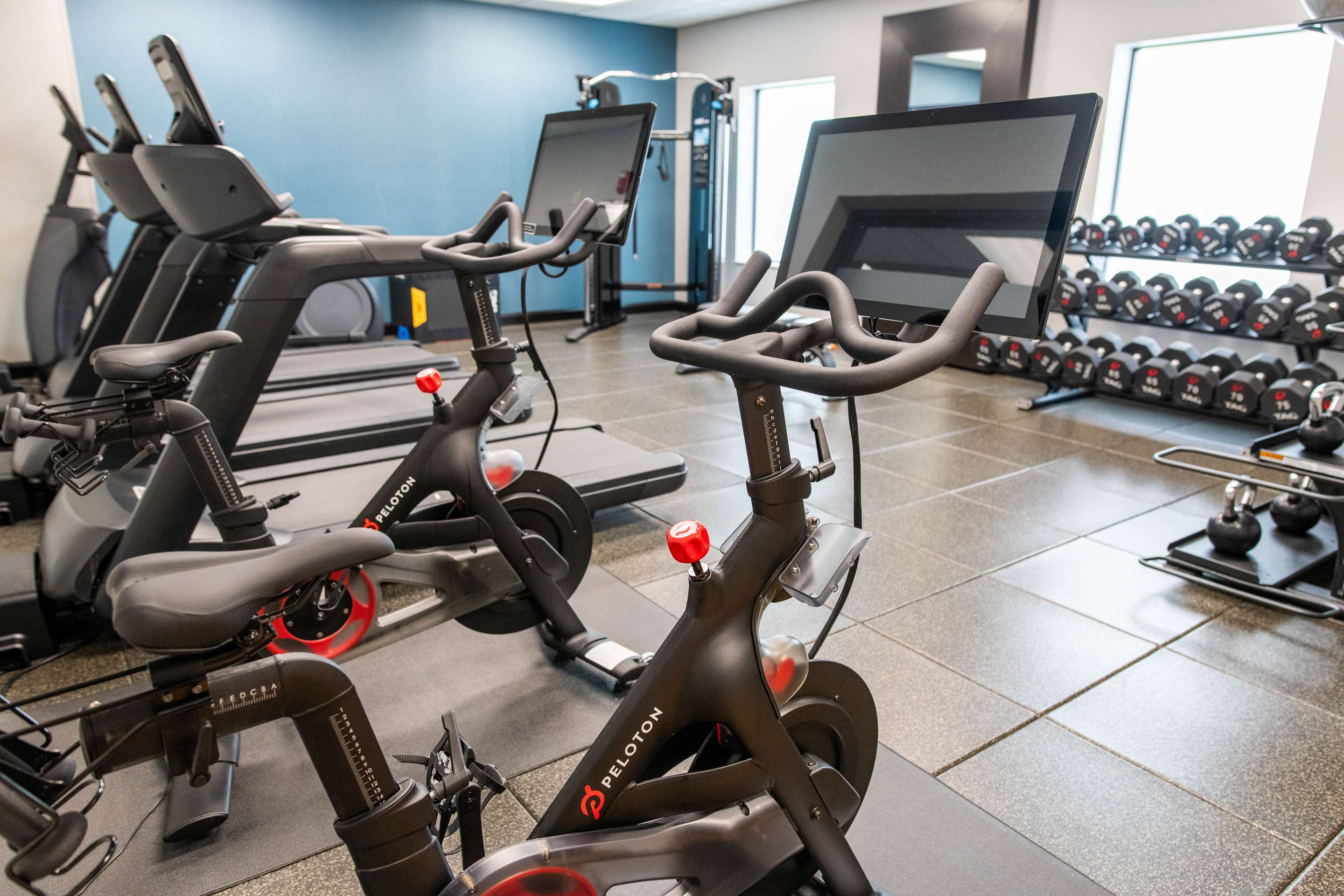 Health club fitness center gym