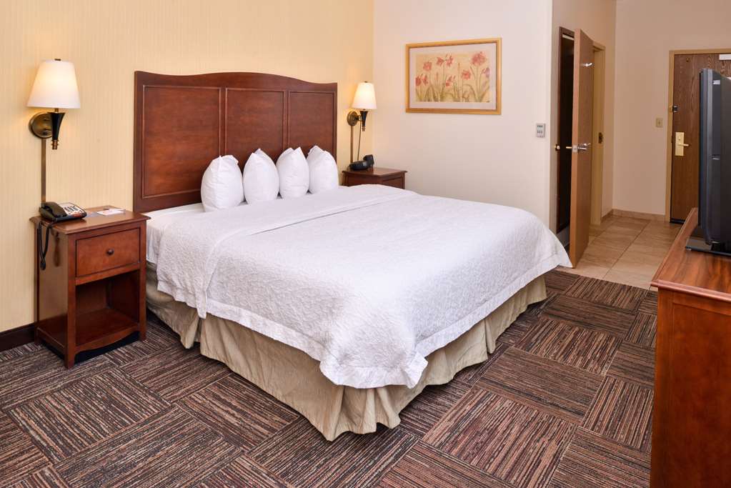 Hampton Inn by Hilton Elkhart Room Type - 1 KNG ACC ROLLIN SHWR NS