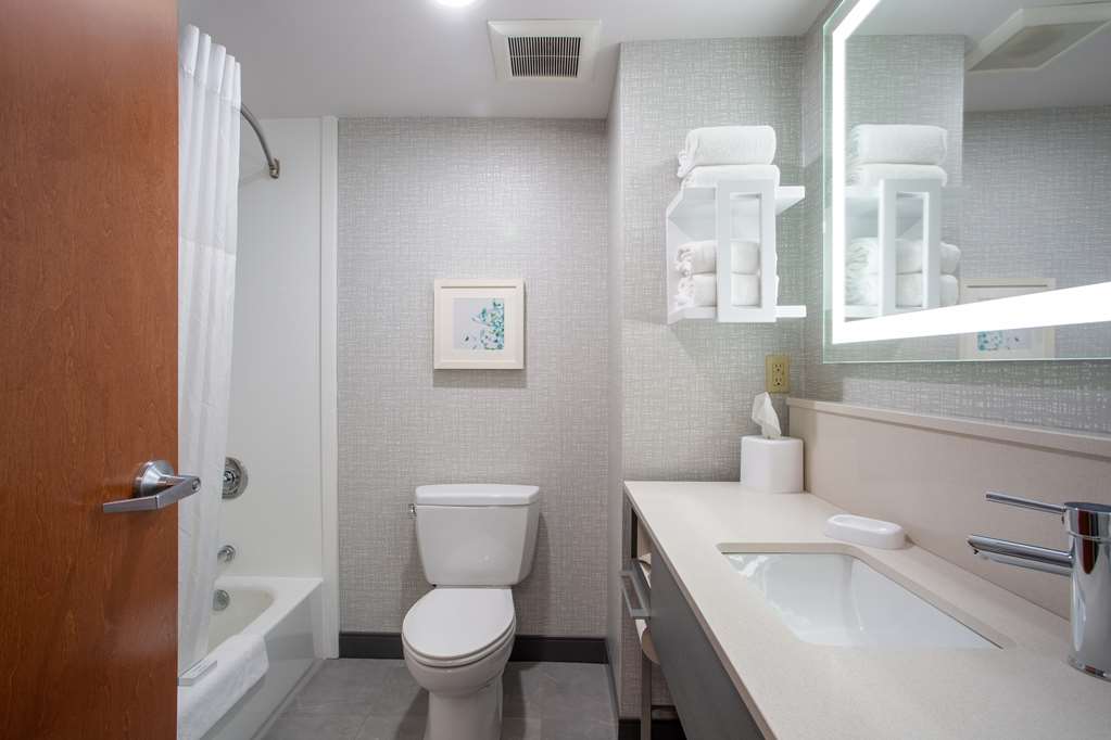 Hampton Inn Elkins, WV-guestroom-Guest Room,Bathroom,On-Site.jpg