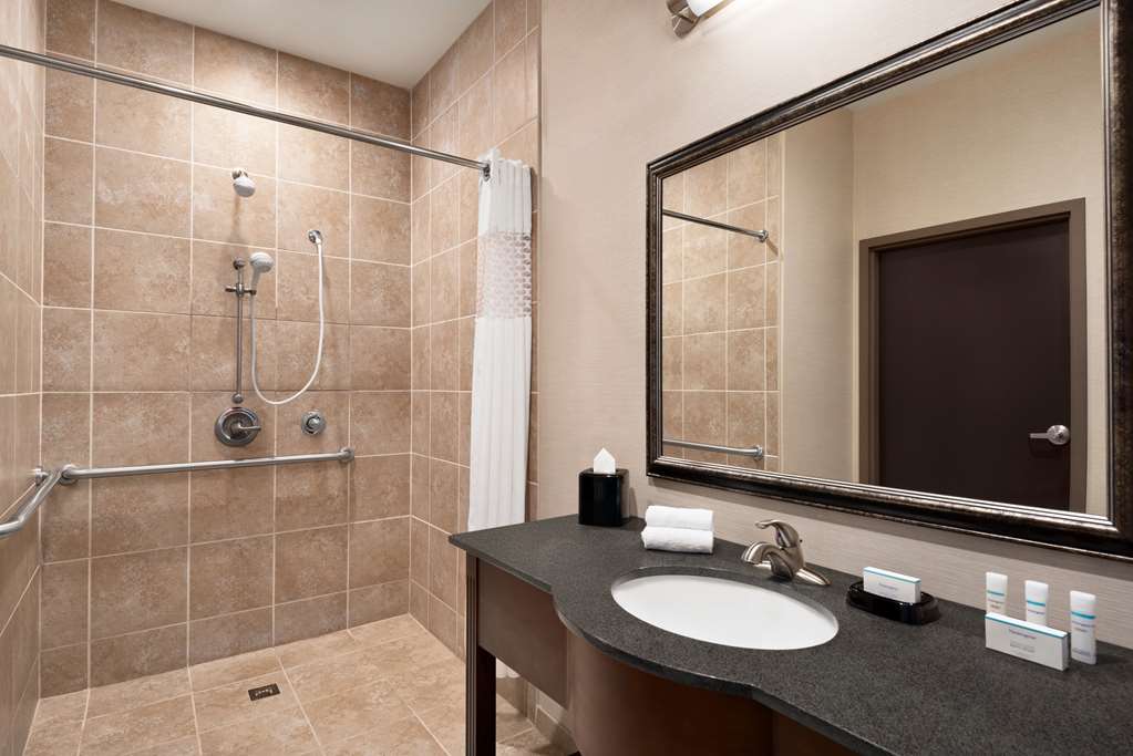 HAMPTON INN AND SUITES MANSFIELD-guestroom-Guest Room,Bathroom,On-Site.jpg