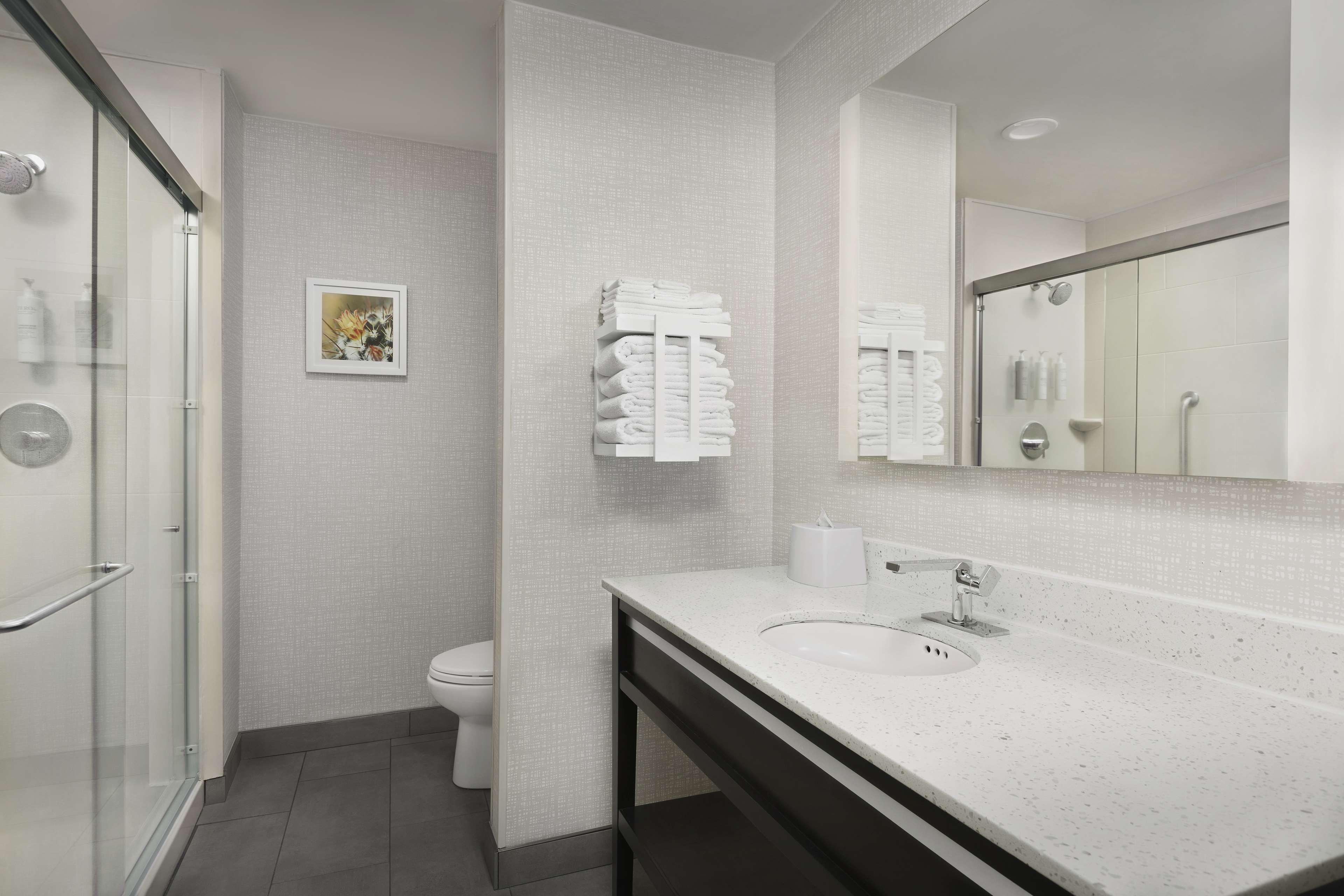 Hampton Inn & Suites by Hilton El Paso/East Room Type - 1 KNG HEARING ACC NOSMOK