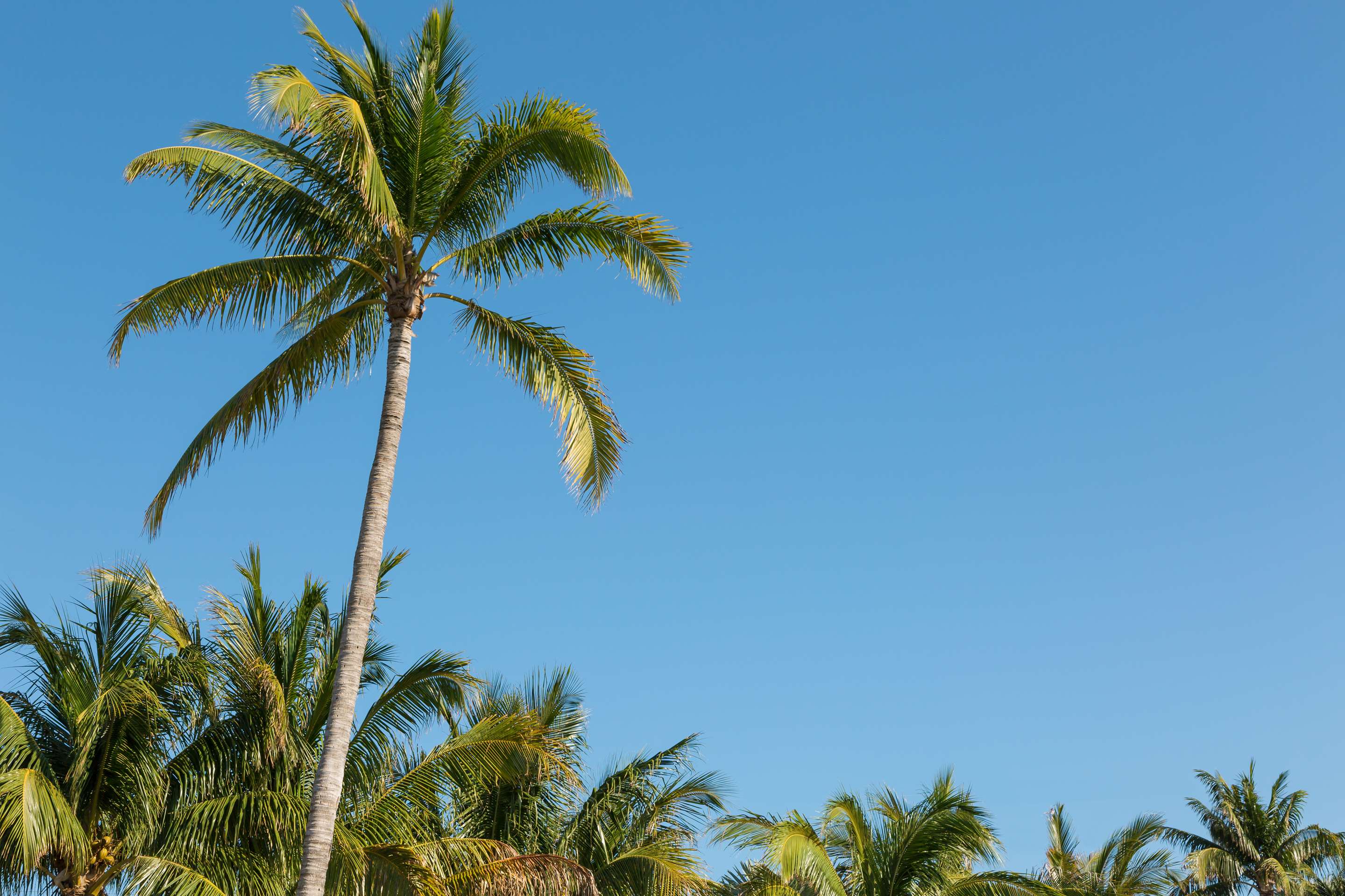 Exterior | Hilton Garden Inn Key West / The Keys Collection