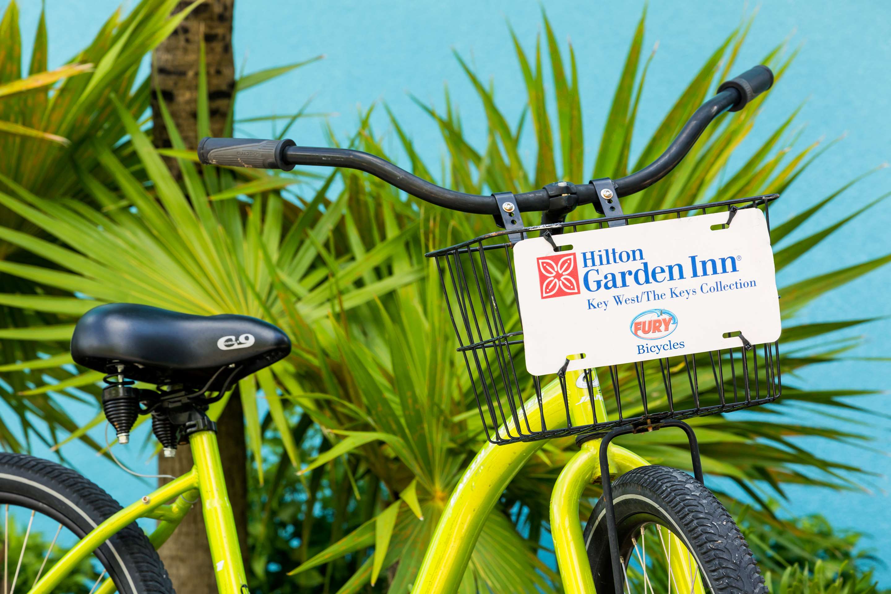 Property amenity | Hilton Garden Inn Key West / The Keys Collection
