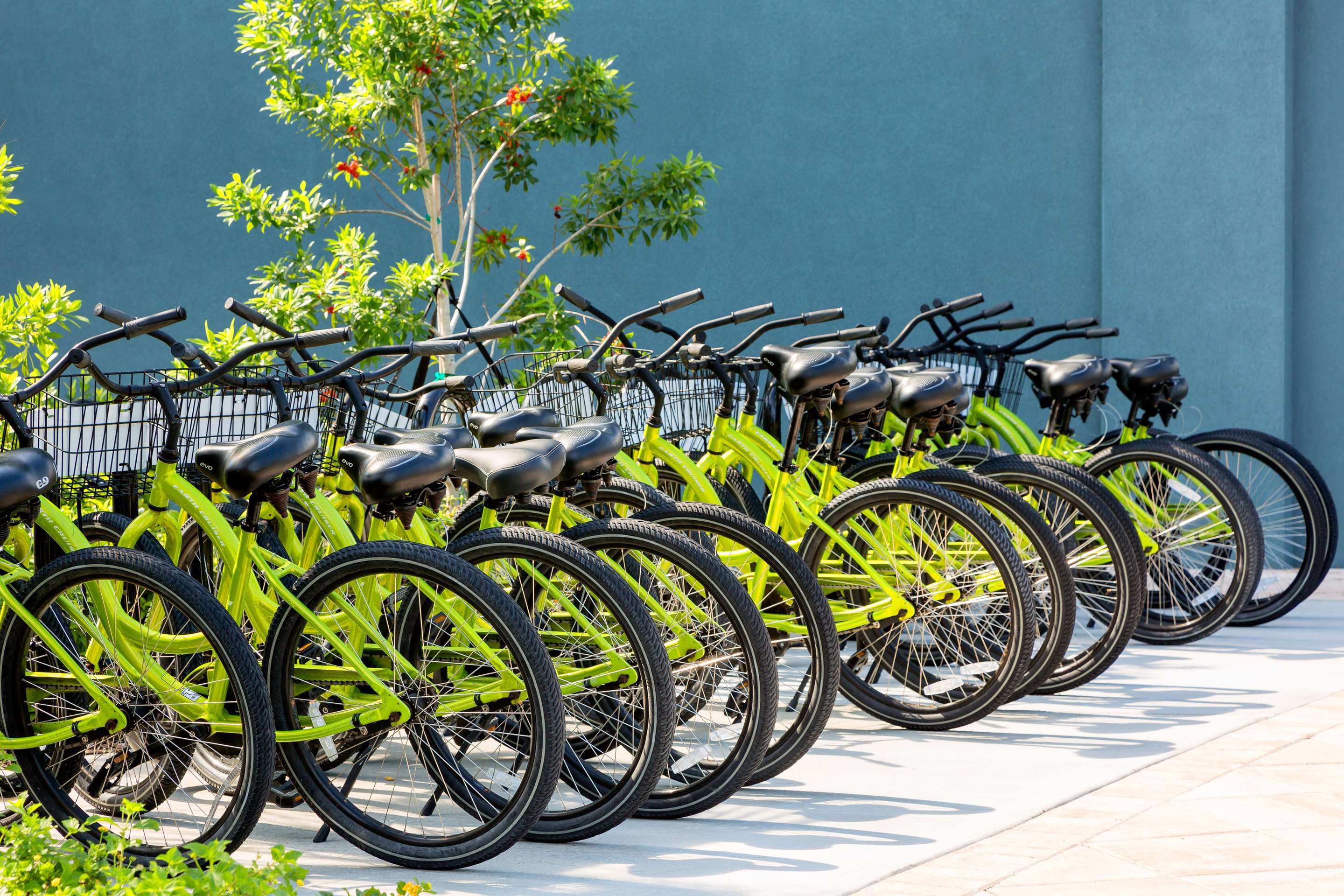Property amenity | Hilton Garden Inn Key West / The Keys Collection