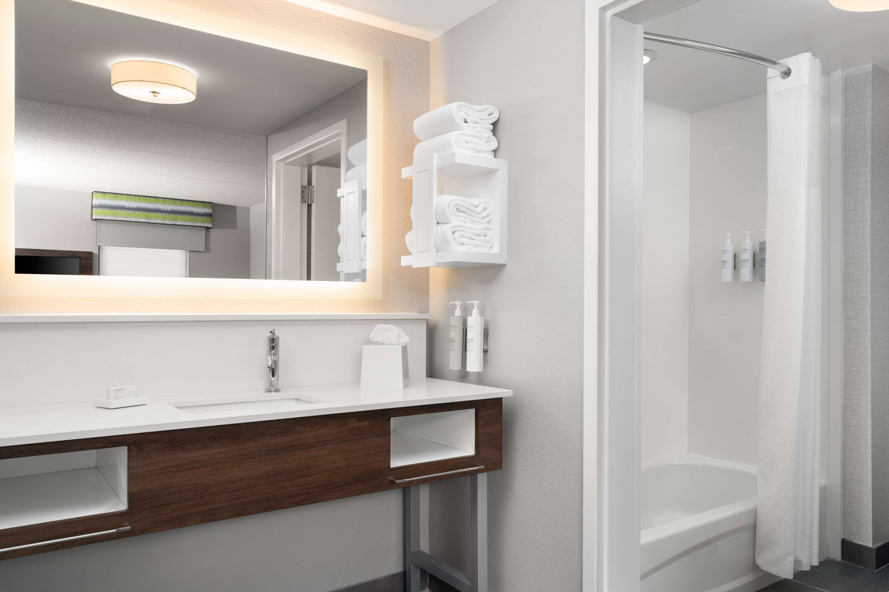 Guest room bath
