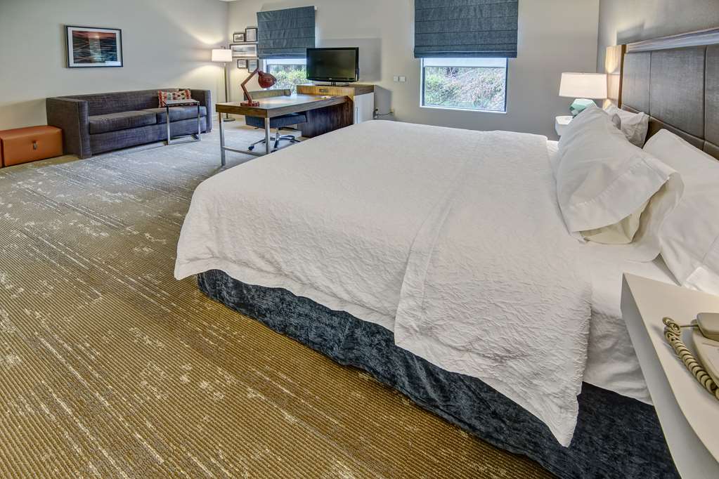 Hampton Inn & Suites Fort Myers-Estero/FGCU, FL Room Type - 1 KN ACC RI SHWR STUDIO NS