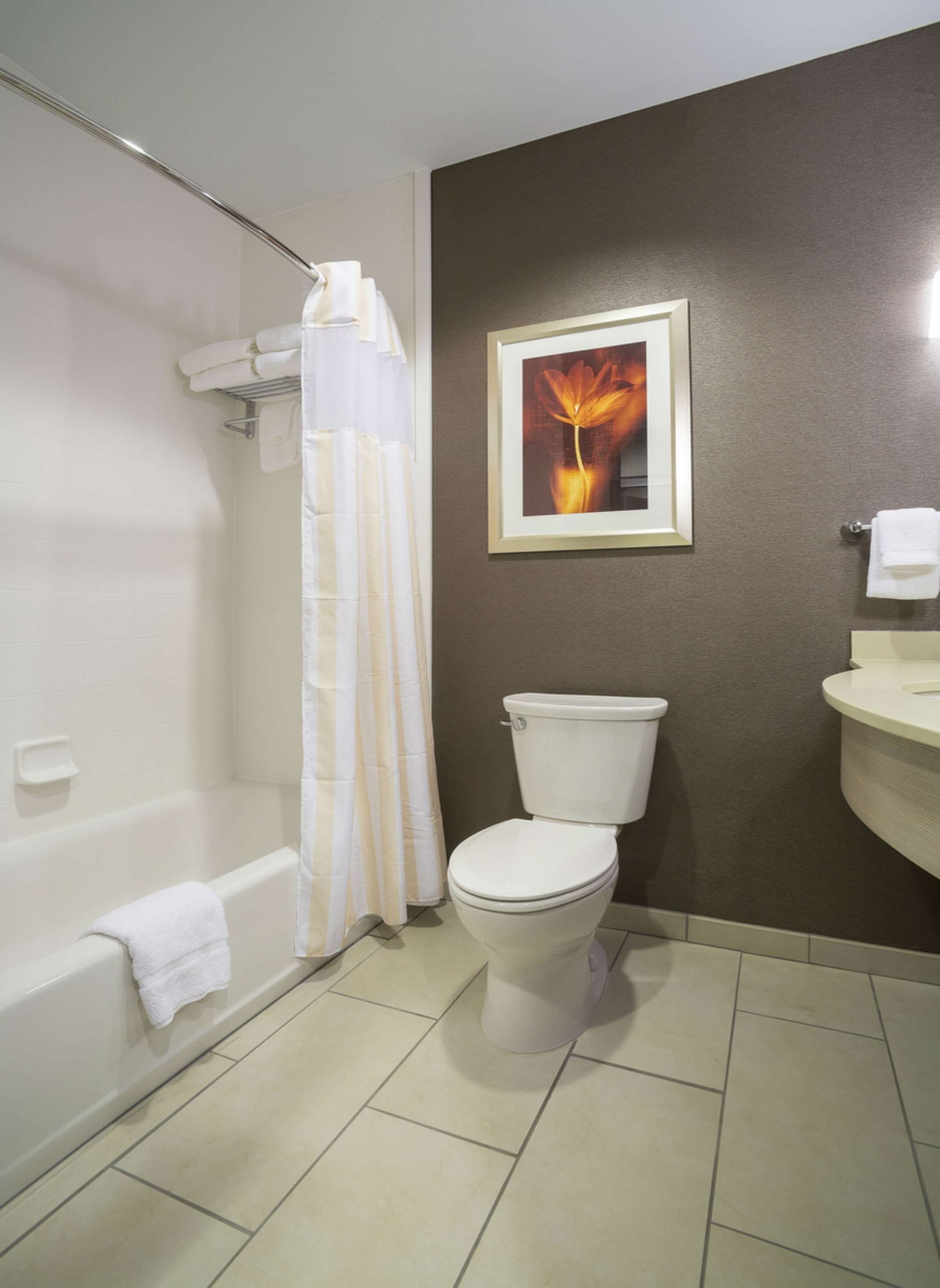 Guest room bath