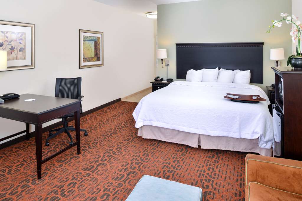 Hampton Inn Pecos Room Type - 1 KNG ACC ROLLIN SHWR NS