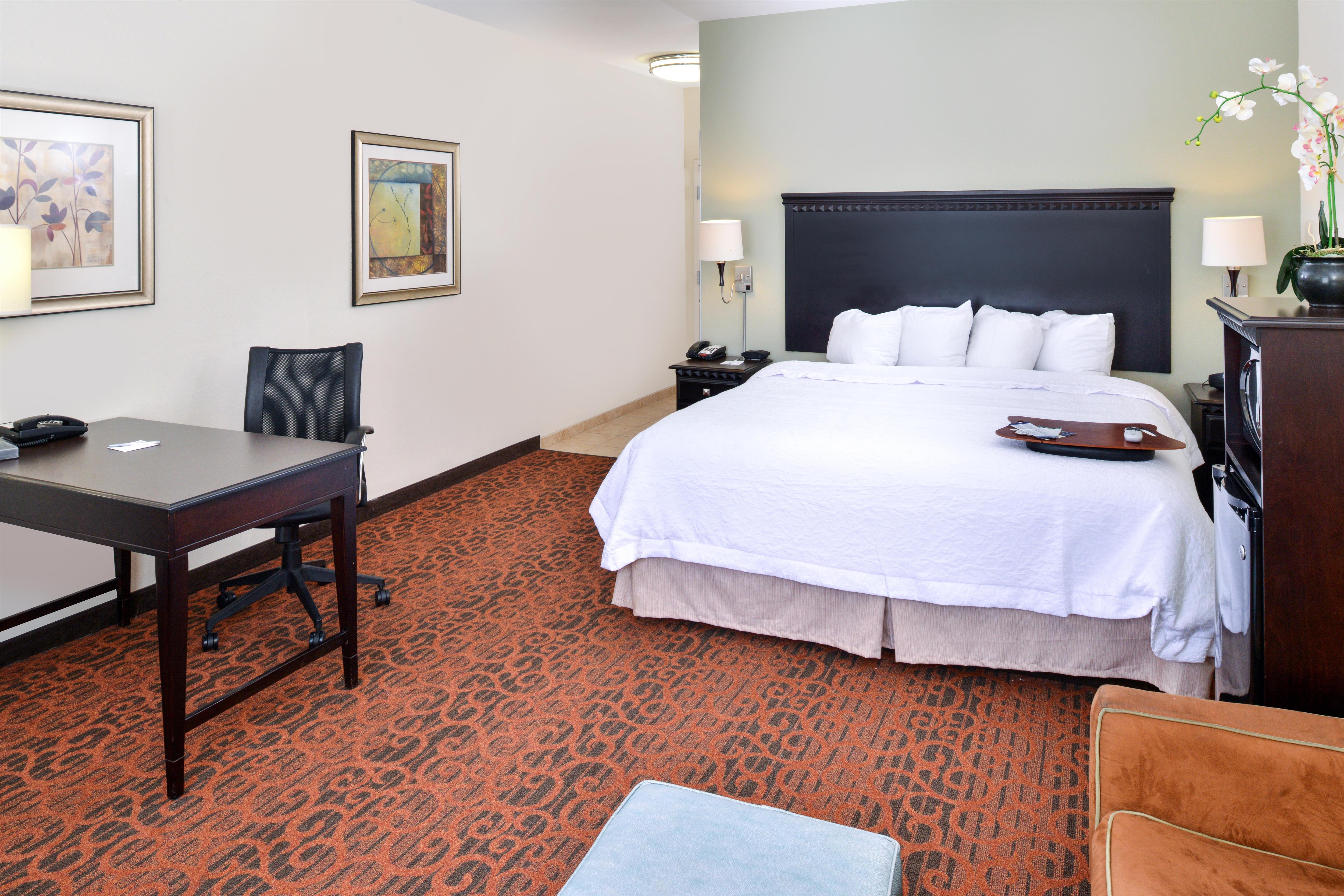 Hampton Inn Pecos Room Type - 1 KING W SOFABED NONSMOK