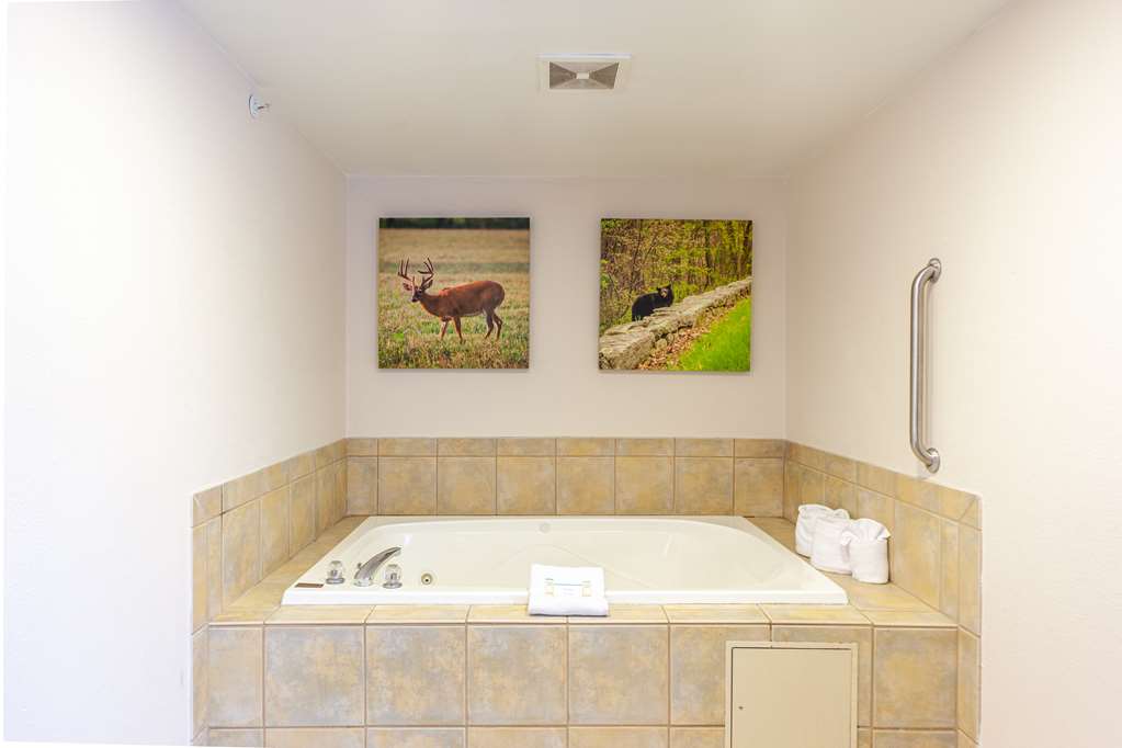 Hampton Inn Front Royal-guestroom-Guest Room,Bathroom,On-Site.jpg
