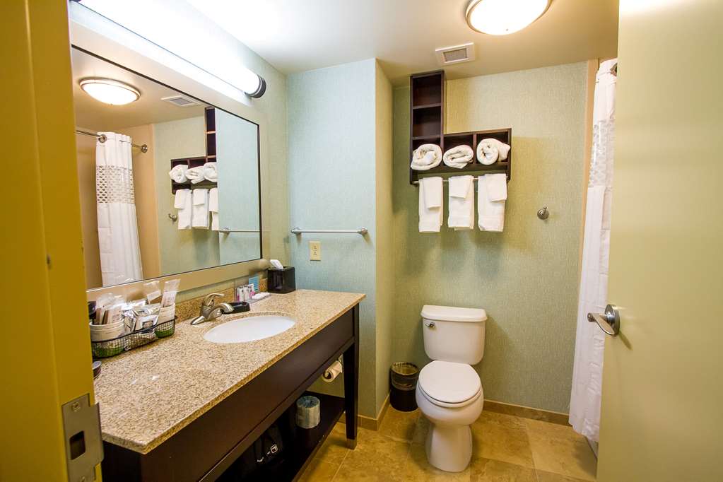 Hampton Inn Fayetteville, TN-guestroom-Guest Room,Bathroom,On-Site.jpg