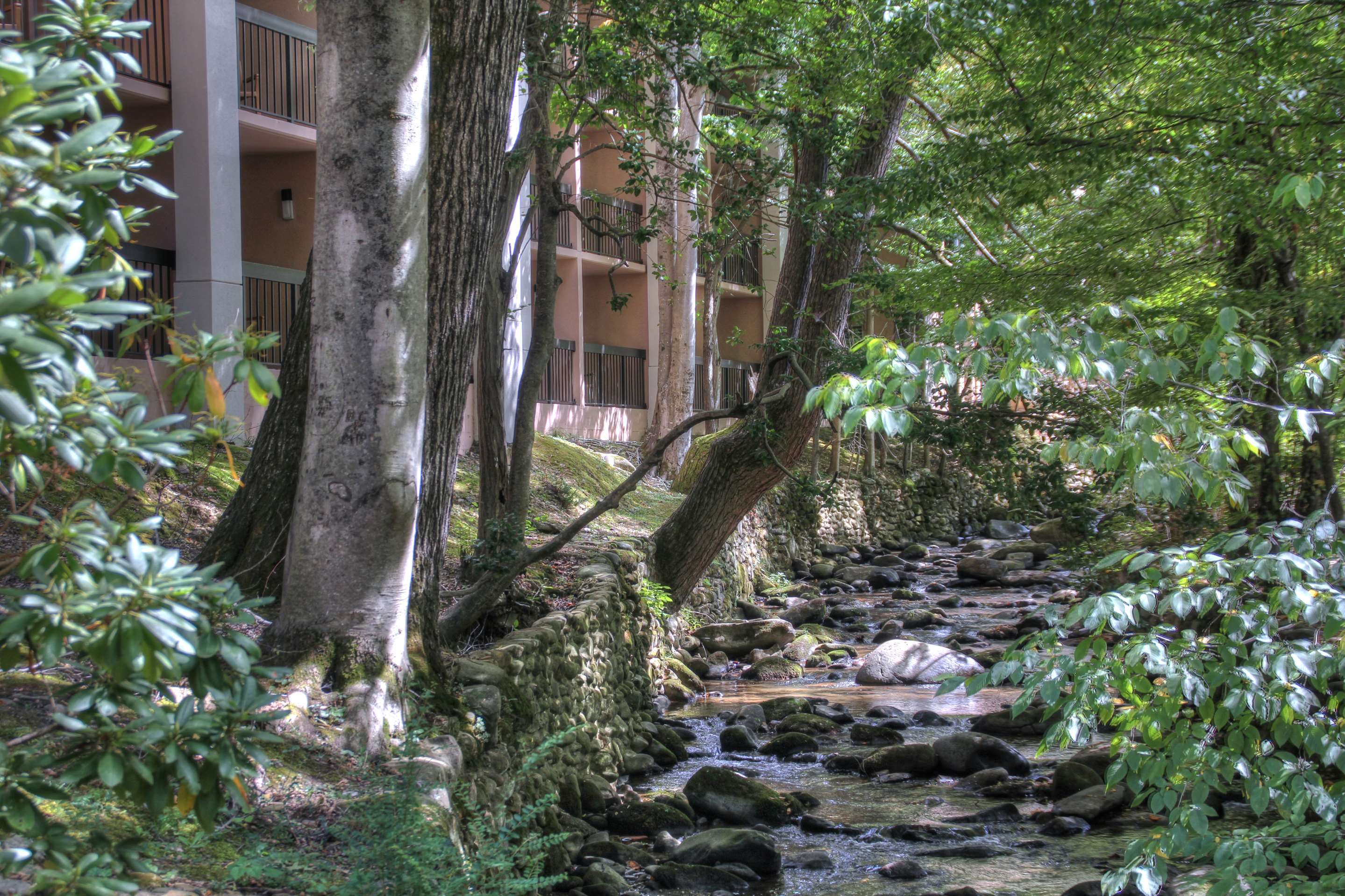 Exterior | Hampton Inn Gatlinburg