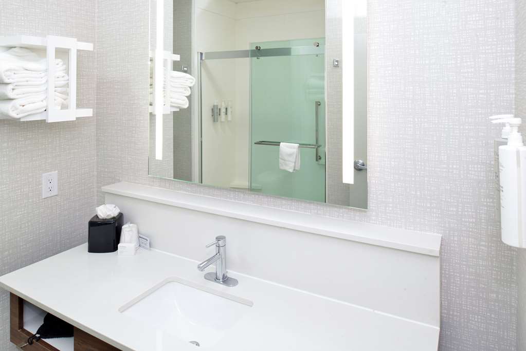 Hampton Inn & Suites by Hilton Greenville Room Type - 1KNG MOB HEAR ACC W TUB NS