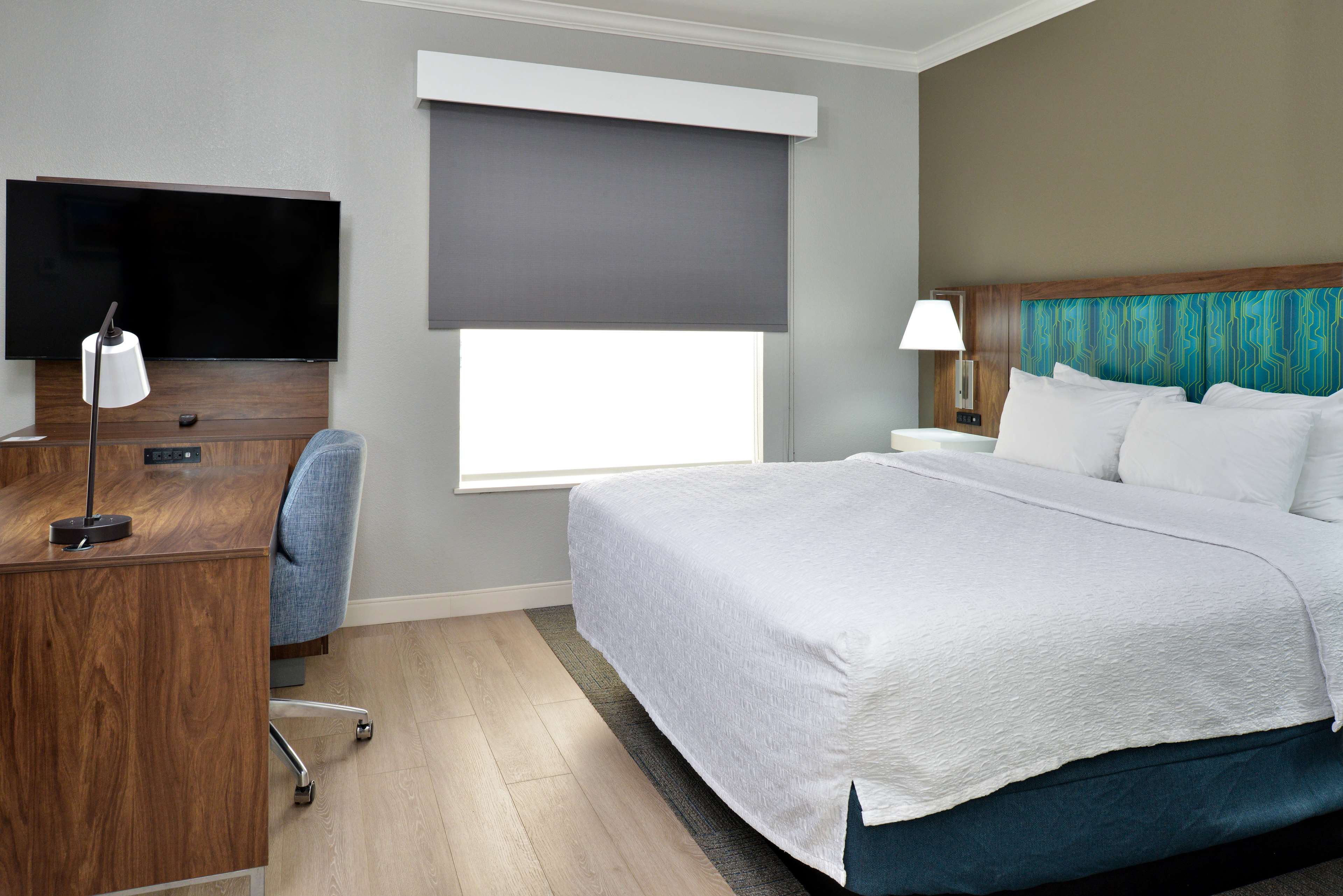 Hampton Inn & Suites by Hilton Greenville Room Type - 1RMSUITE KING NON-SMOKING