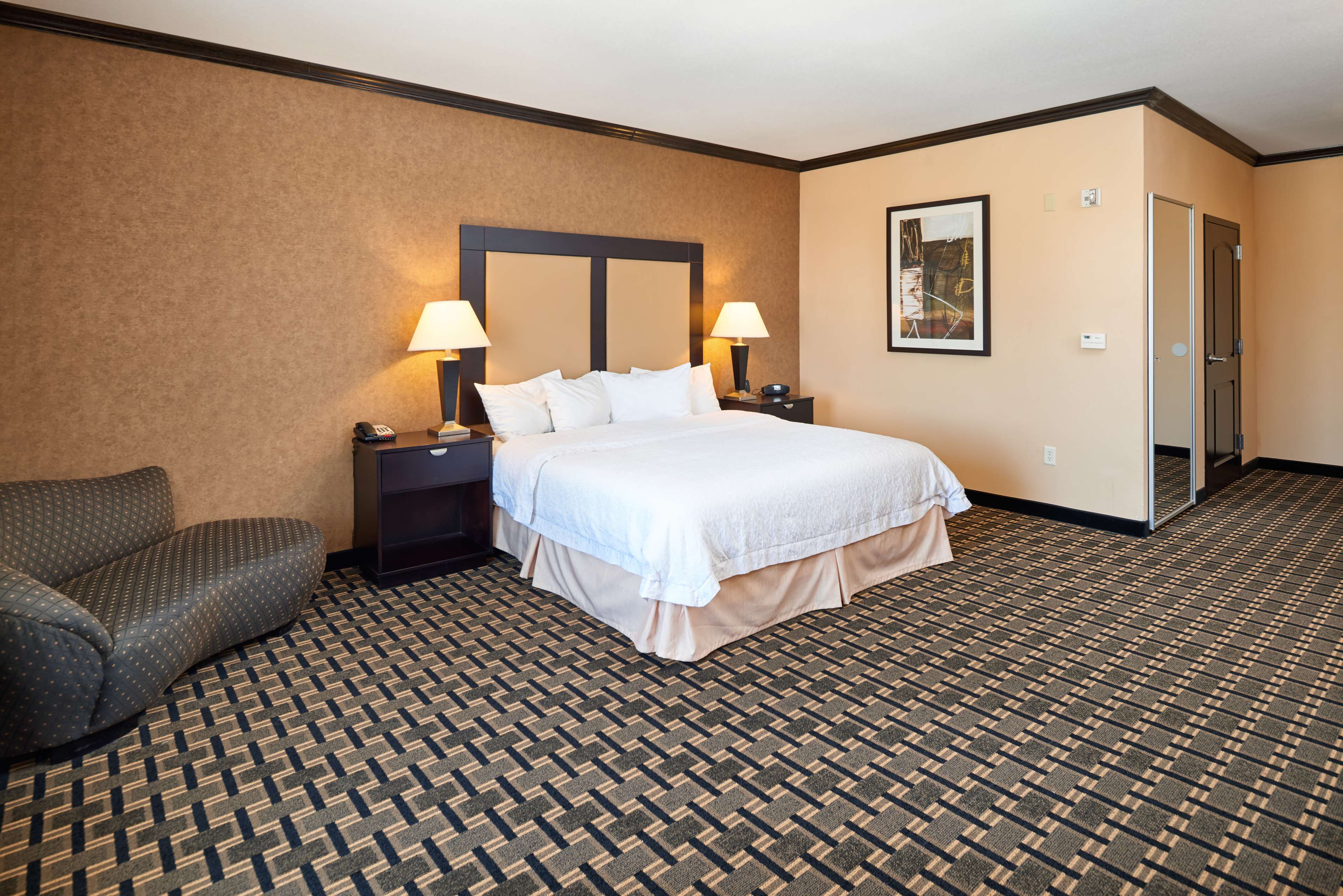 Hampton Inn & Suites by Hilton Longview North Room Type - 1KNG MOB HEAR ACC W TUB NS