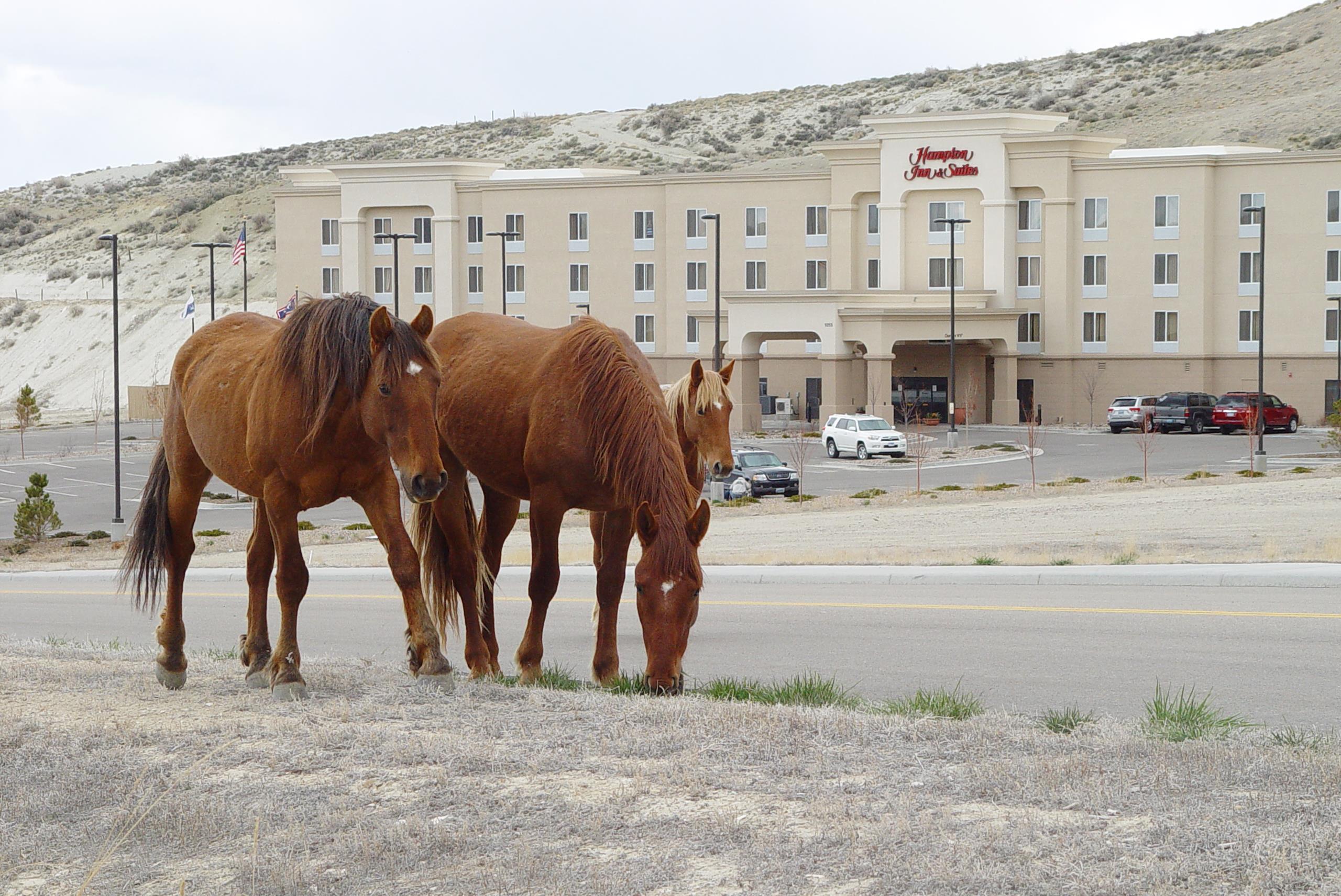 Exterior | Hampton Inn & Suites Green River