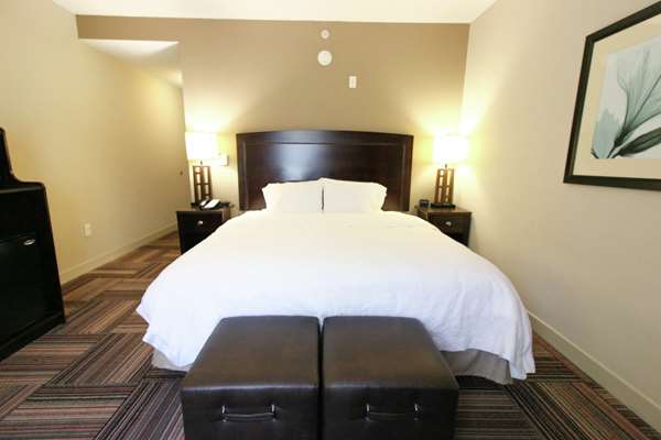  - Hampton Inn & Suites Flowery Branch
