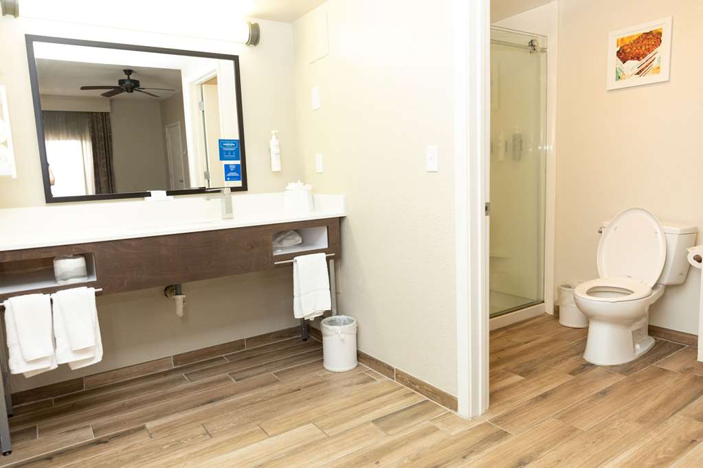 HAMPTON INN HAMMOND LA Room Type - 1KNG STE SOFABED NOSMOK