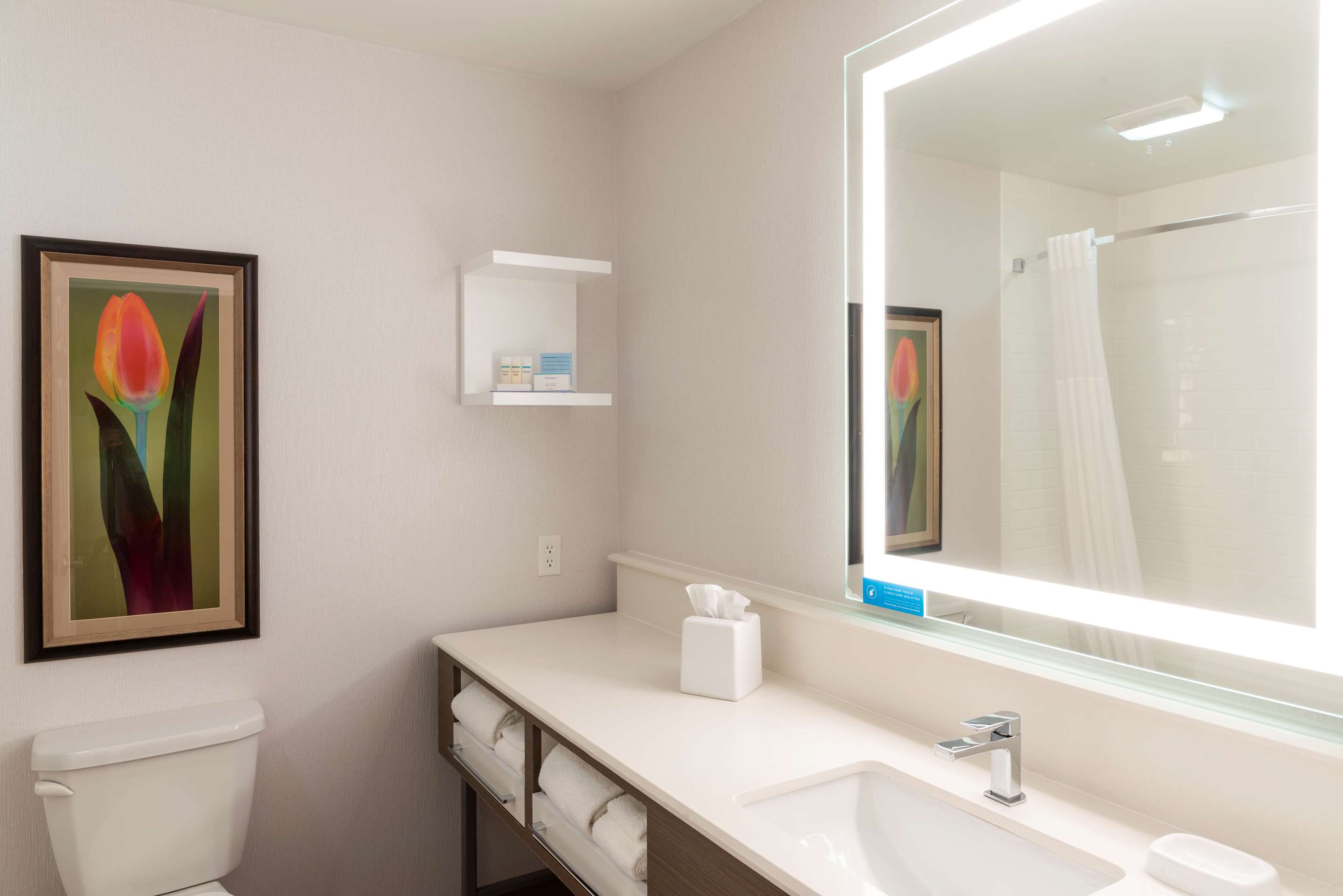 Guest room bath