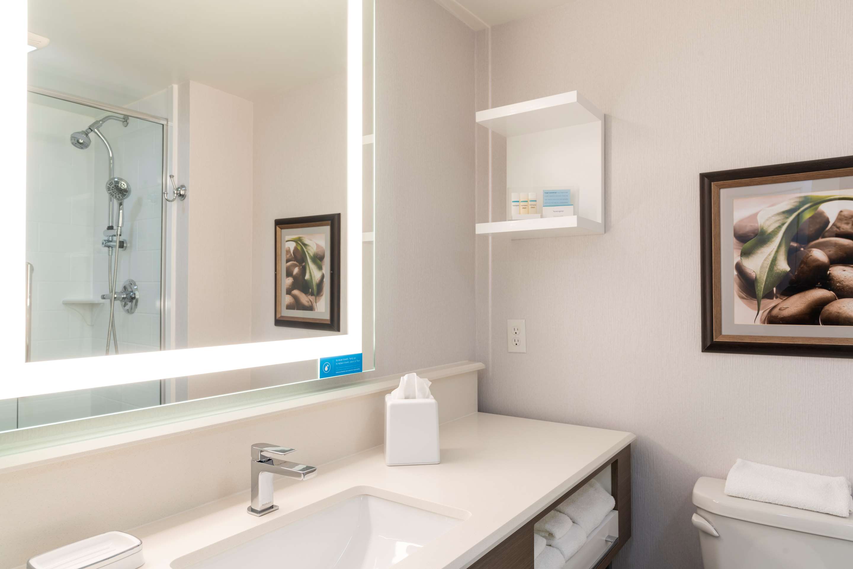 Guest room bath