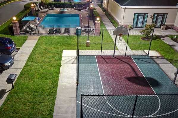 Pool - Homewood Suites by Hilton Houston