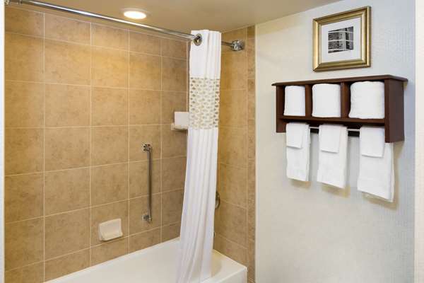  - Hampton Inn Galleria Houston