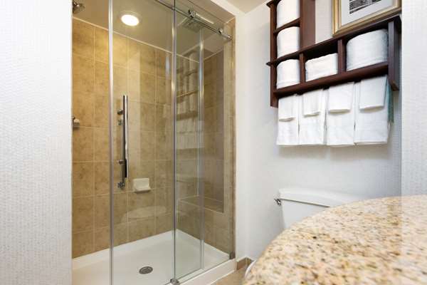  - Hampton Inn Galleria Houston