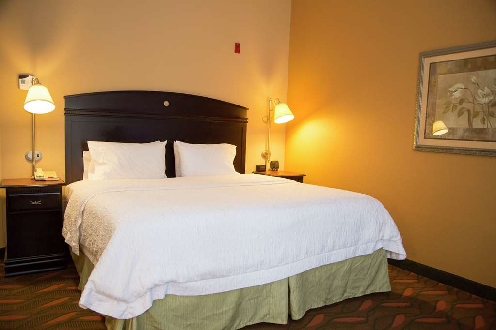 Hampton Inn and Suites Houston-Rosenberg Room Type - 1KG MOB HEAR ACC RI-SHW NS