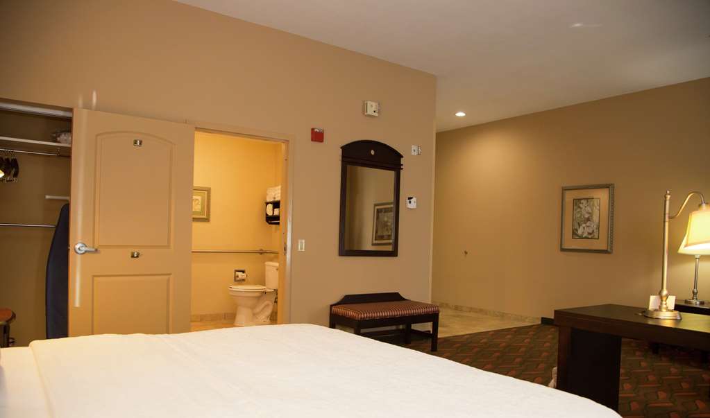 Hampton Inn and Suites Houston-Rosenberg Room Type - 1KN HEARING ACC STE NOSMOK