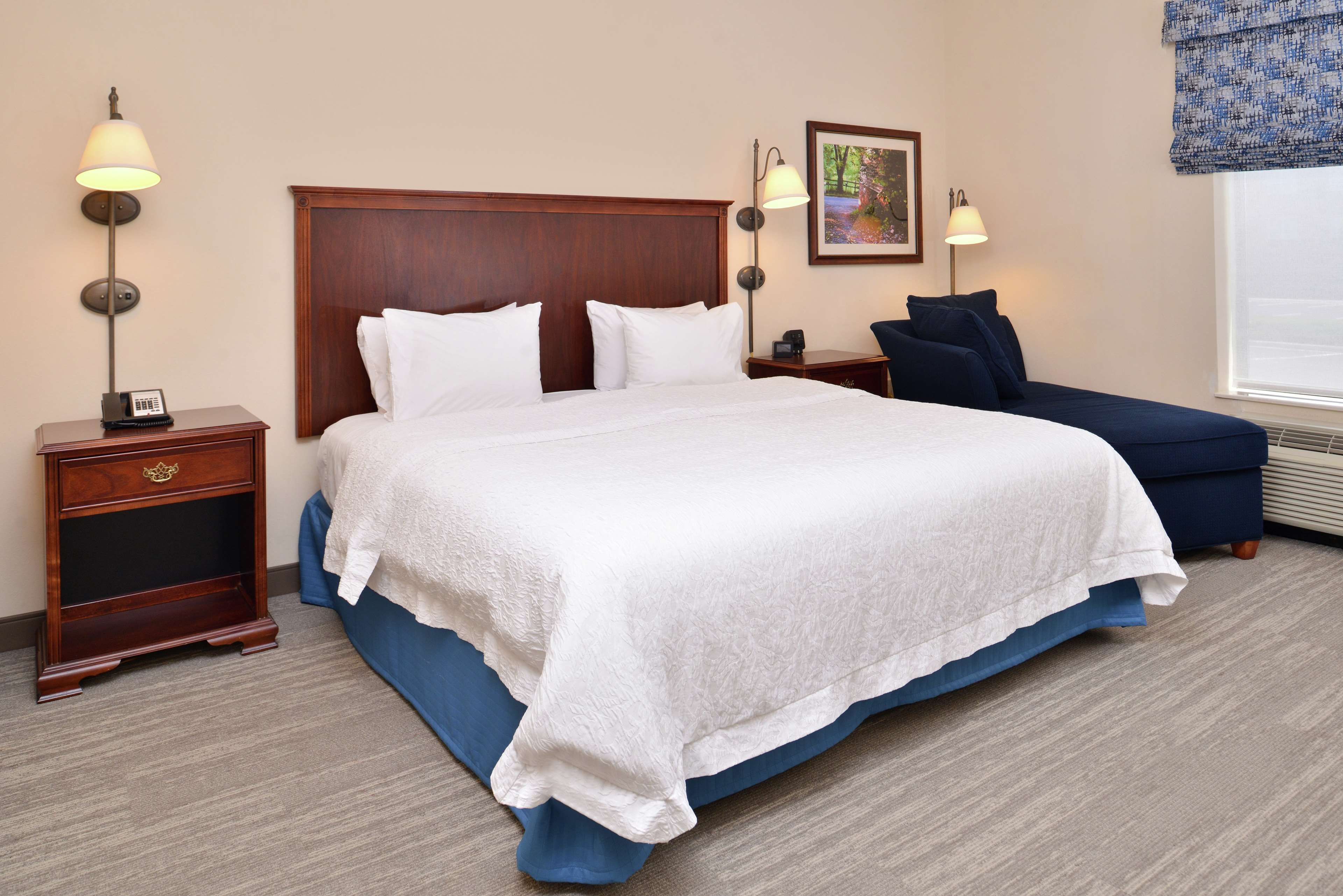 Hampton Inn Harrisonburg South Room Type - 1 KNG ACCESSIBLE TUB